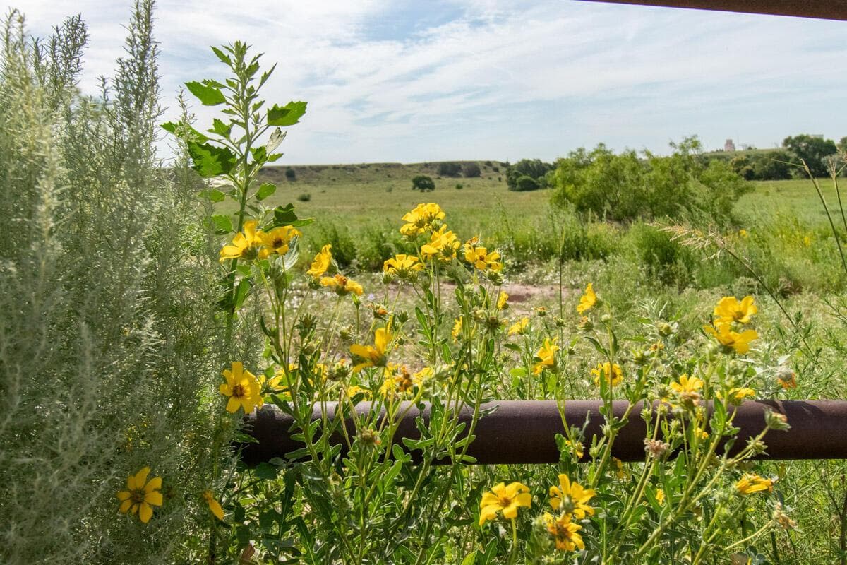 21401 Hope Road, Canyon, TX 79015, photo 106