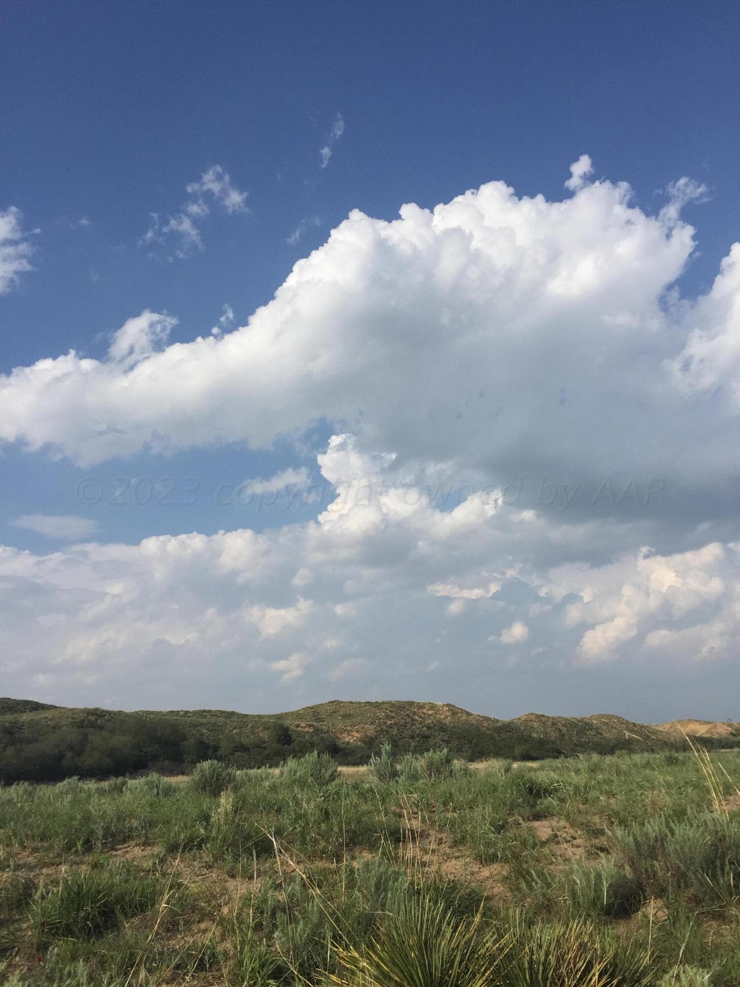 201 Meadowlark Lane, Dumas, TX 79029
