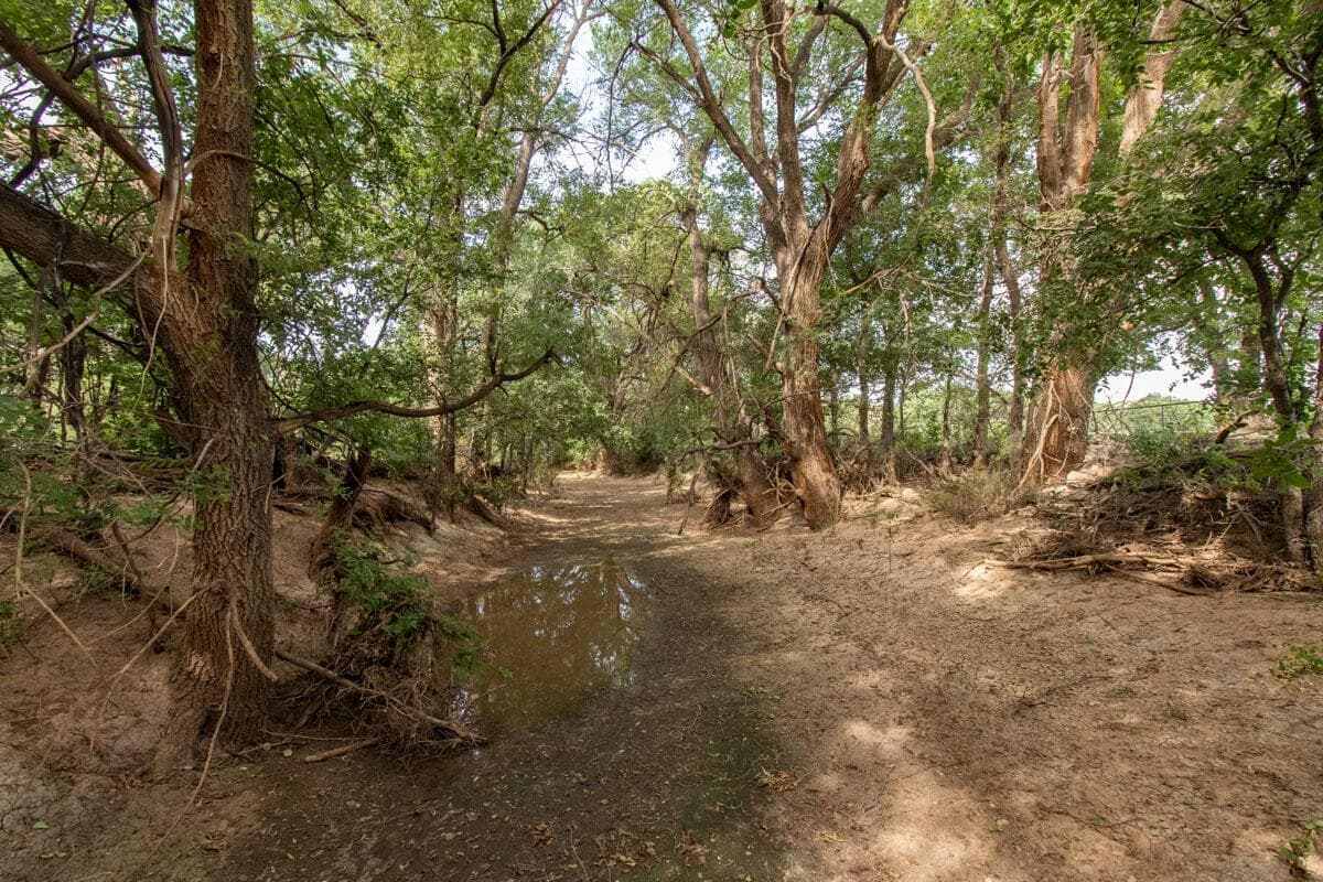 21401 Hope Road, Canyon, TX 79015, photo 119