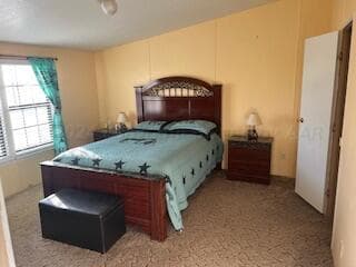 195 Busby Road, Hereford, TX 79045, photo 7