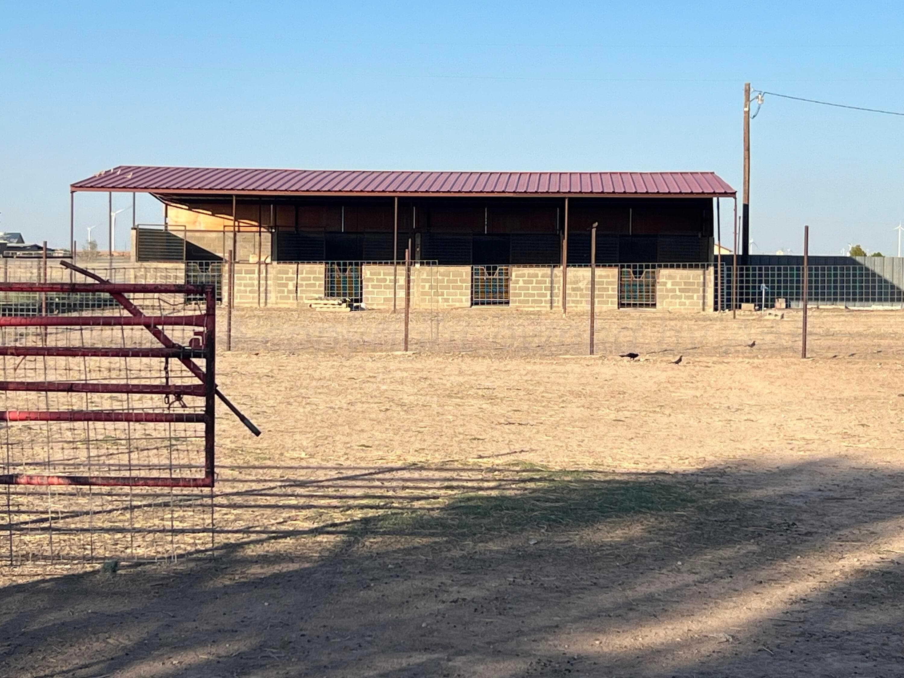 195 Busby Road, Hereford, TX 79045, photo 17