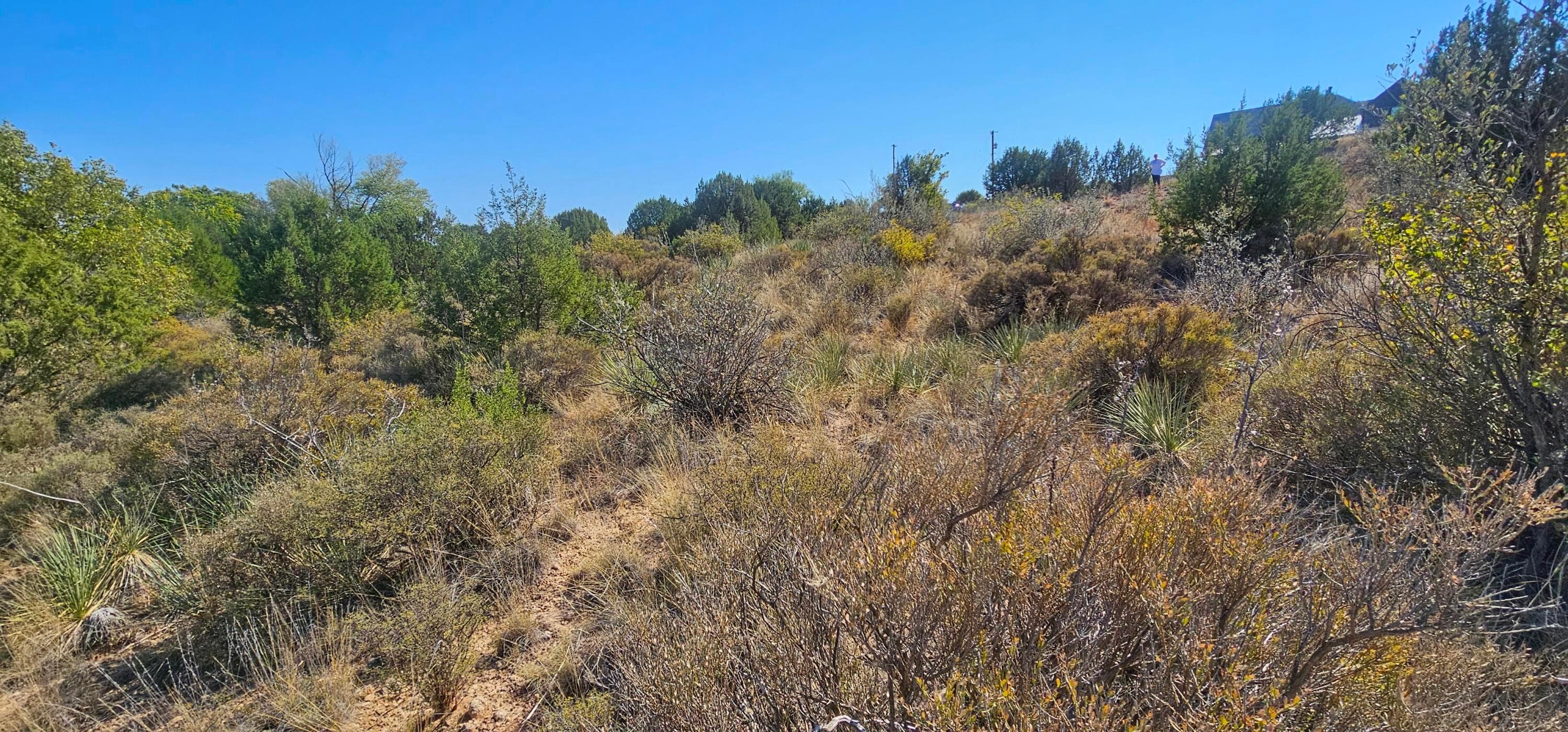 0 Fox Ridge Road, Amarillo, TX 79118, photo 2