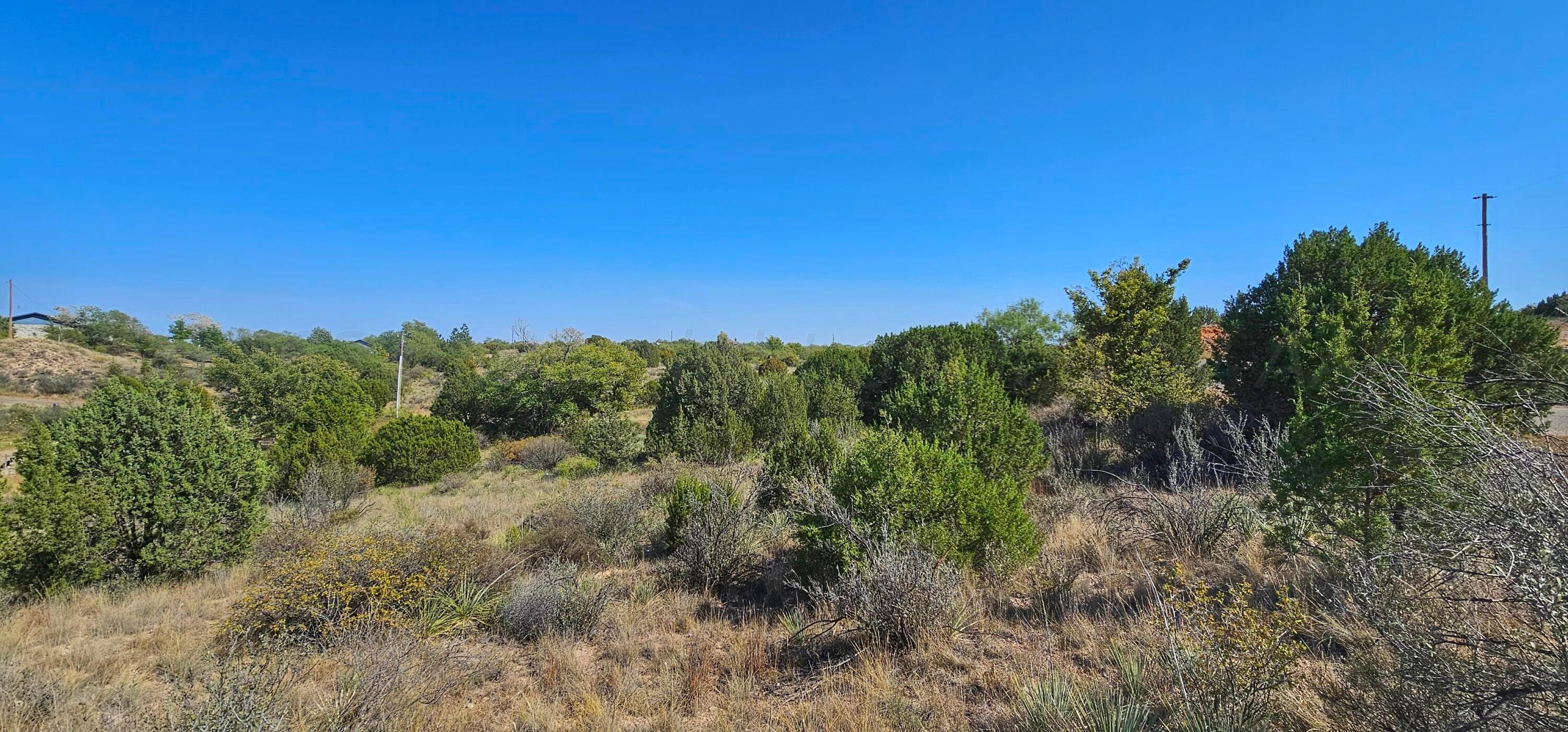 0 Fox Ridge Road, Amarillo, TX 79118, photo 6