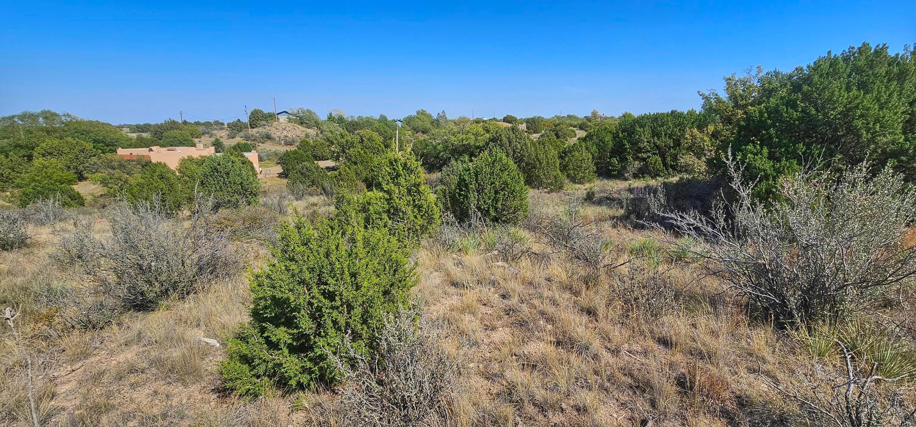 0 Fox Ridge Road, Amarillo, TX 79118, photo 7