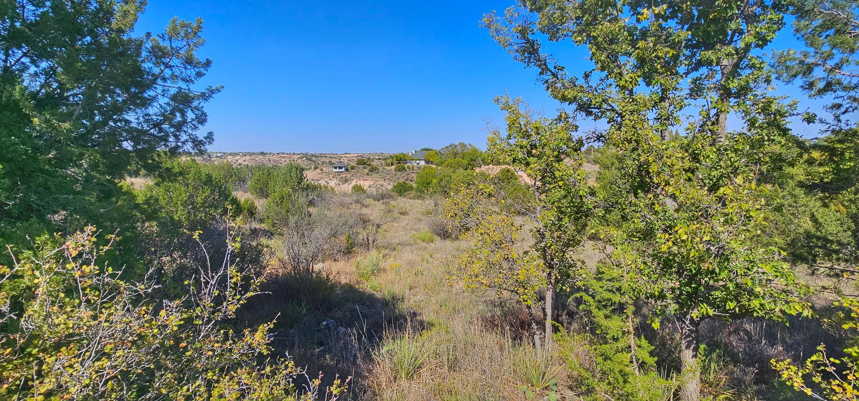 0 Fox Ridge Road, Amarillo, TX 79118, photo 8