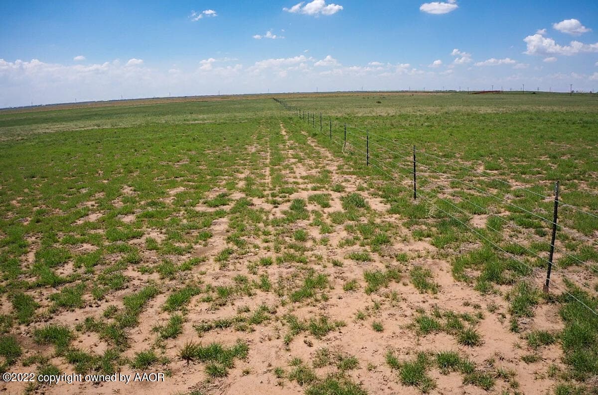 95 Acres HWY 60, Dawn, TX 79045, photo 6