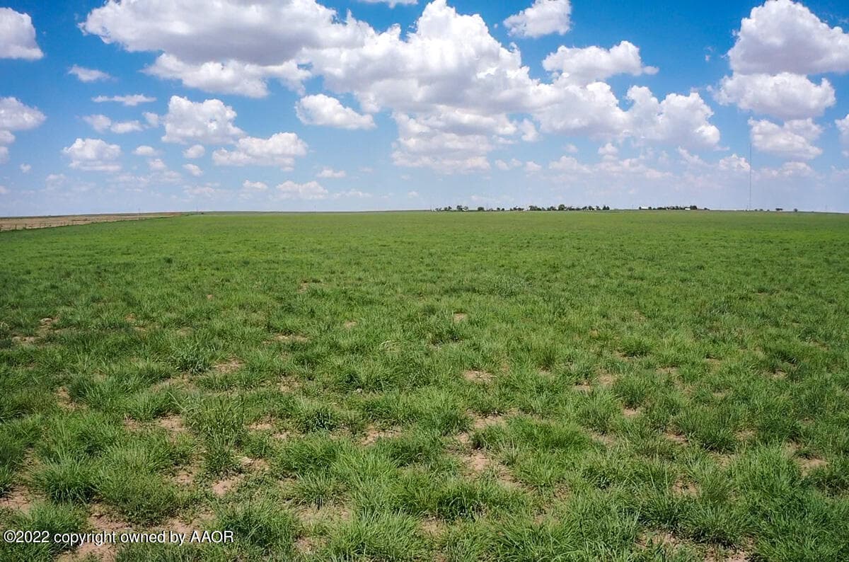 95 Acres HWY 60, Dawn, TX 79045, photo 8