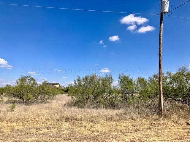 0 PALOMINO, Amarillo, TX 79118, photo 3