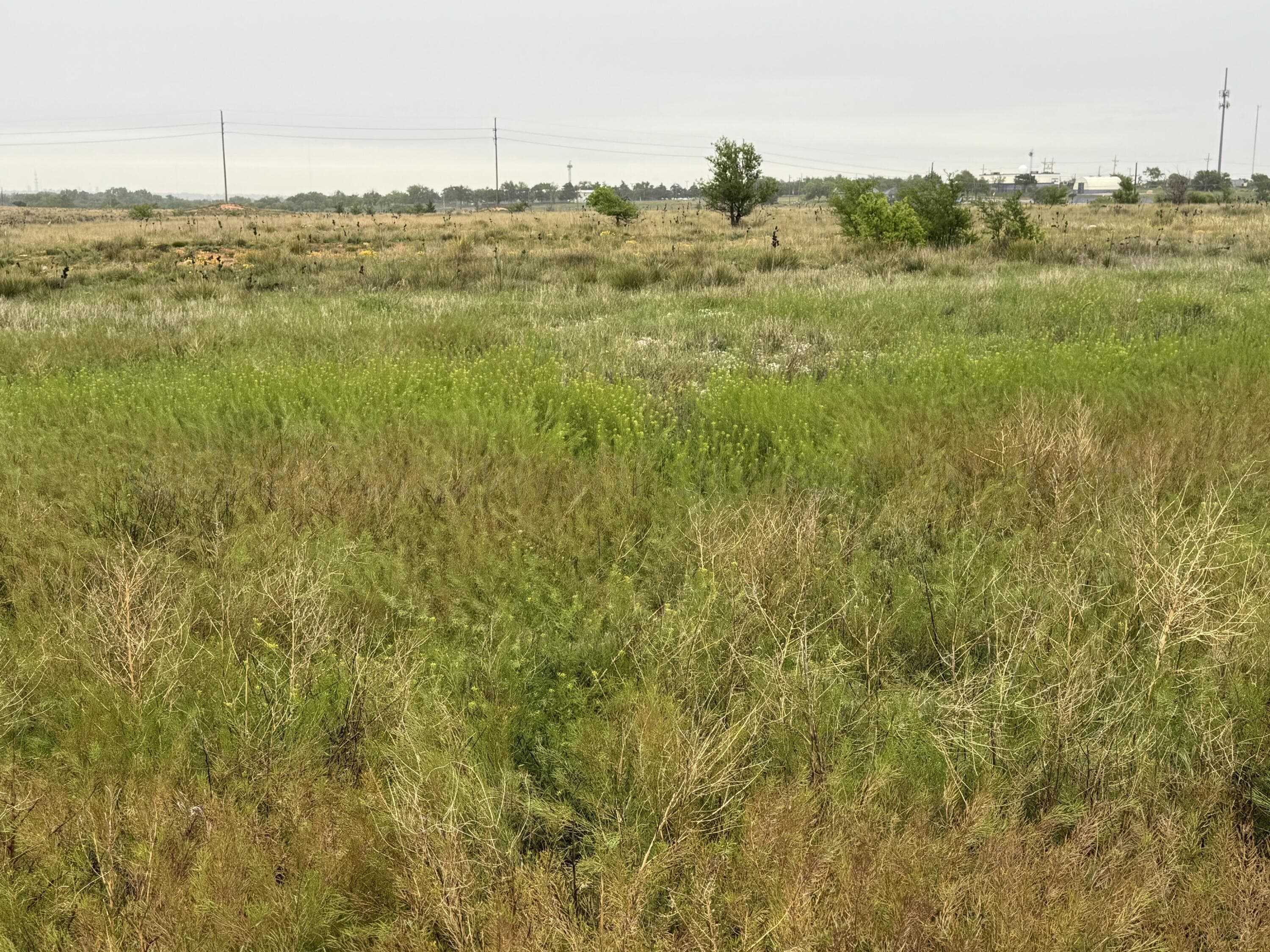 203 NW 16th Avenue, Amarillo, TX 79101