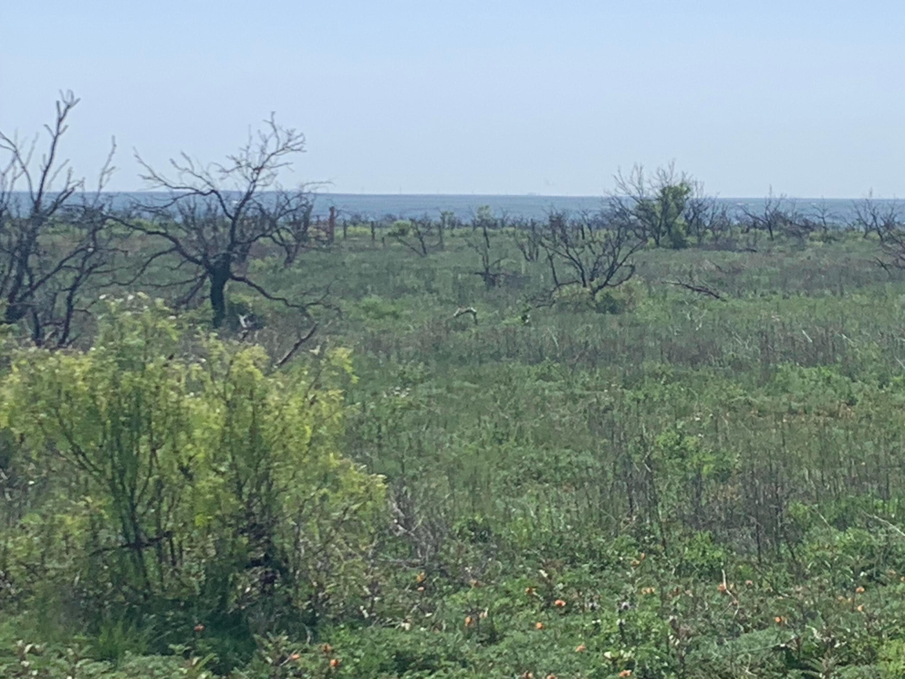 0 CEDAR CREEK Road, Valle de Oro, TX 79010, photo 2