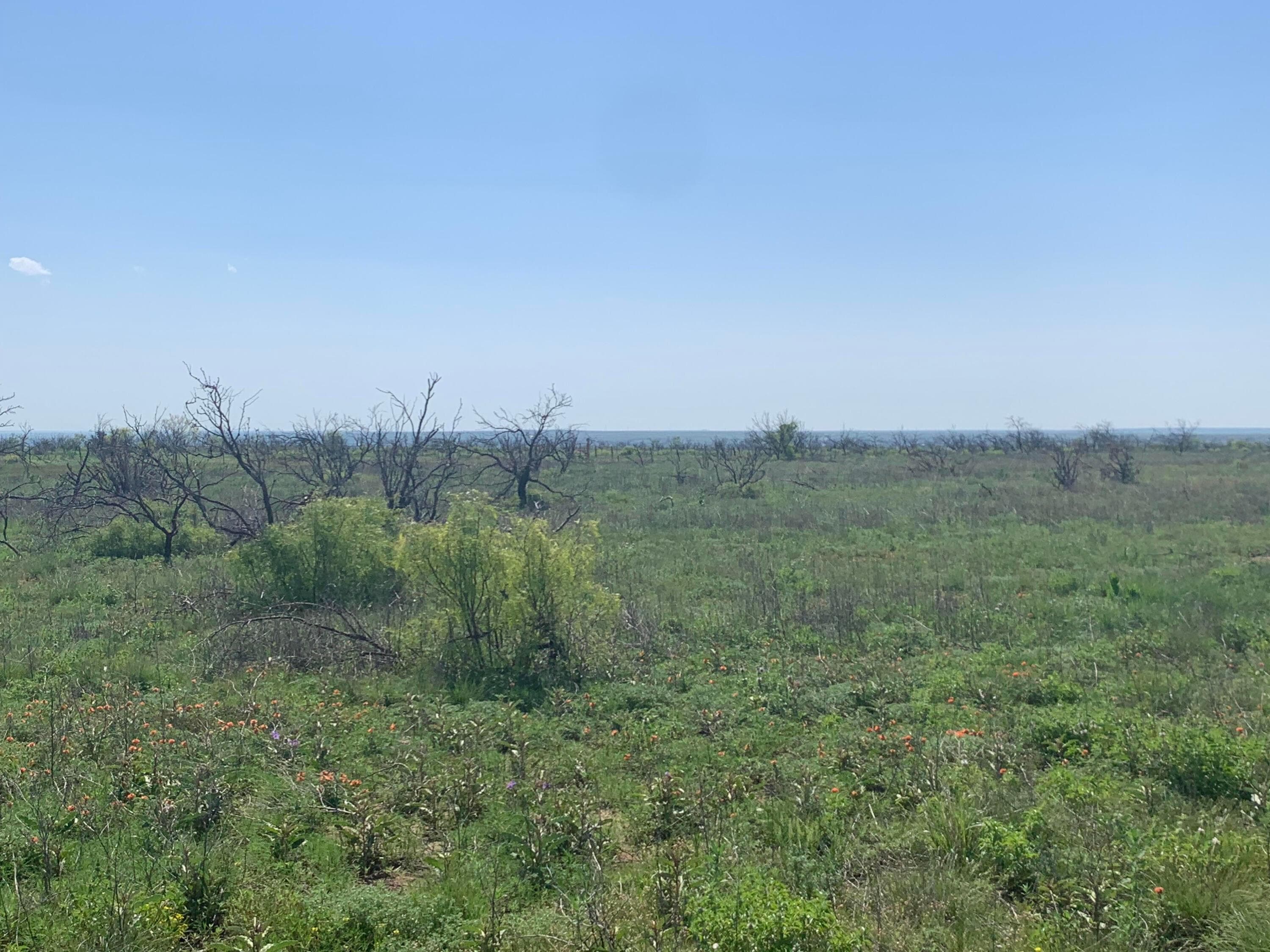0 CEDAR CREEK Road, Valle de Oro, TX 79010, photo 4