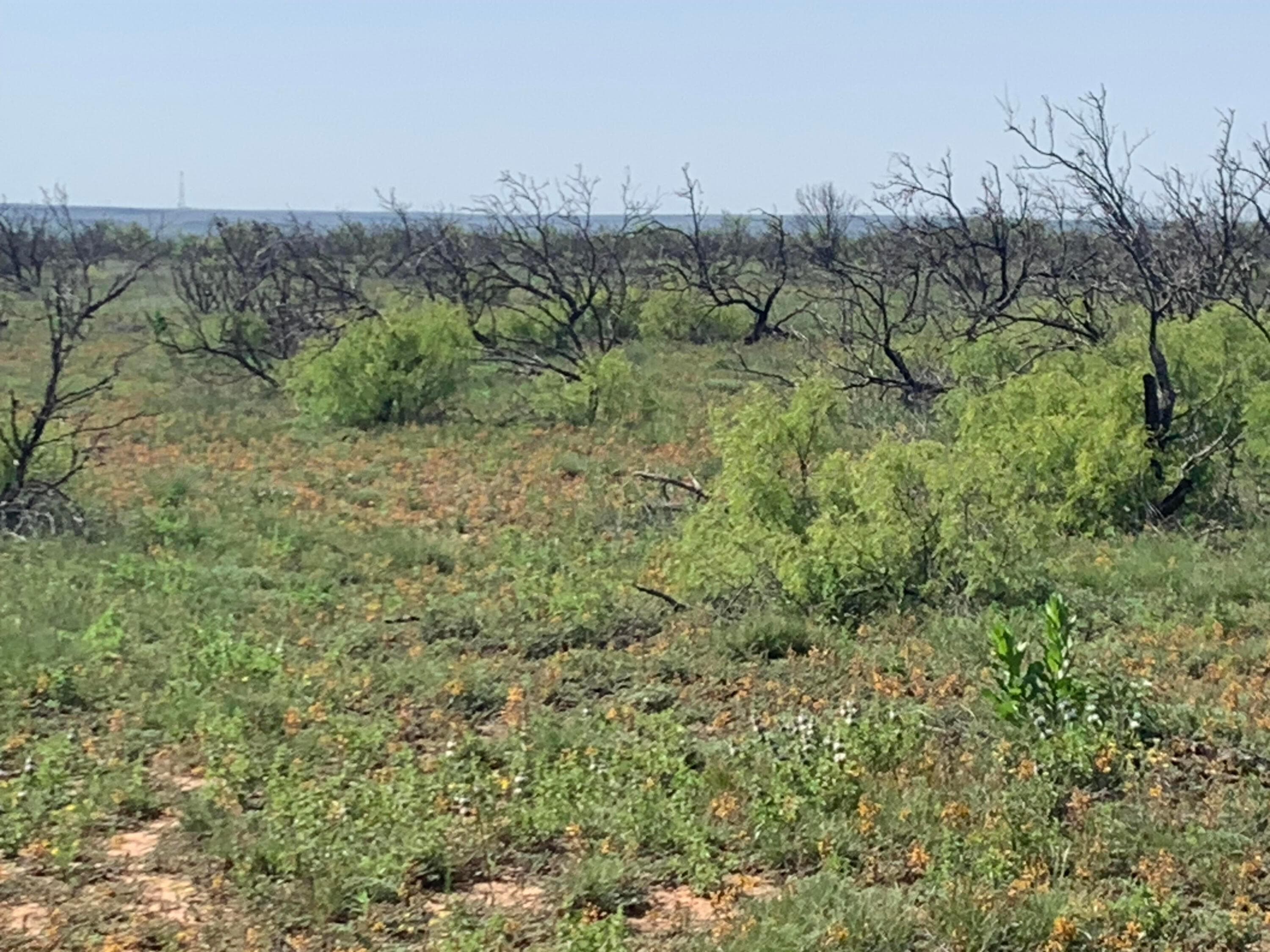 0 CEDAR CREEK Road, Valle de Oro, TX 79010