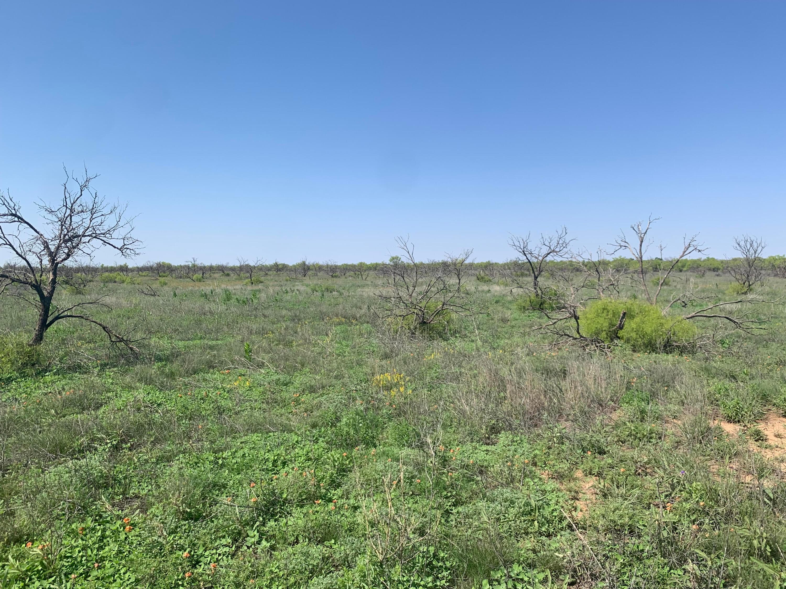 0 CEDAR CREEK Road, Valle de Oro, TX 79010, photo 3