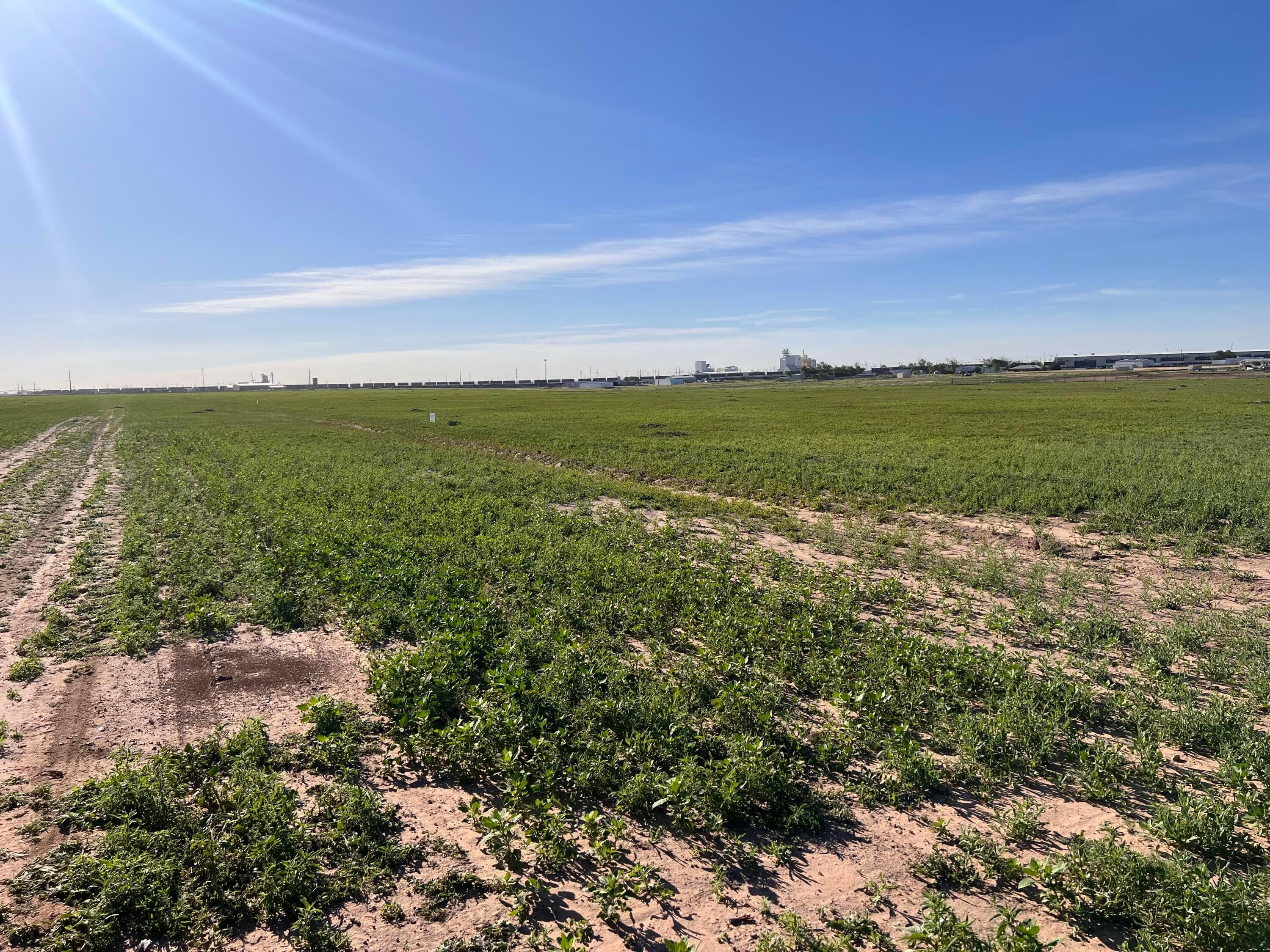 CO RD 7B, 7C, and 7D, Hereford, TX 79045, photo 3