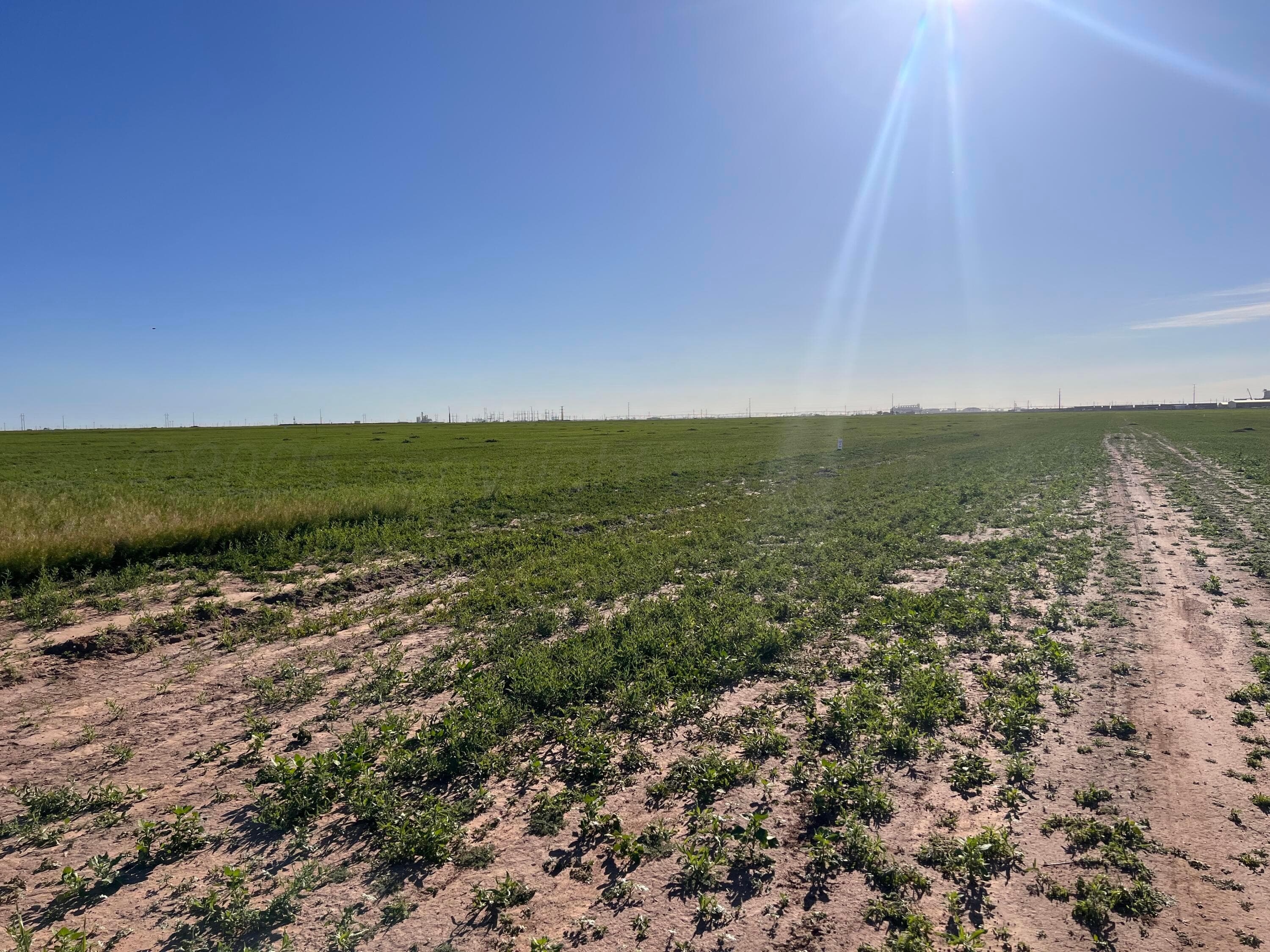 CO RD 7B, 7C, and 7D, Hereford, TX 79045, photo 4