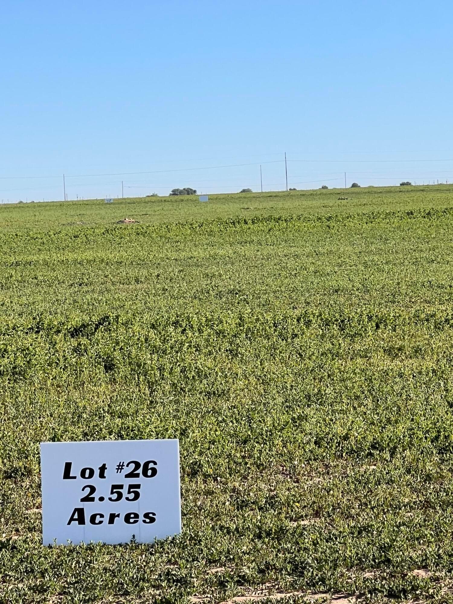 CO RD 7B, 7C, and 7D, Hereford, TX 79045, photo 11