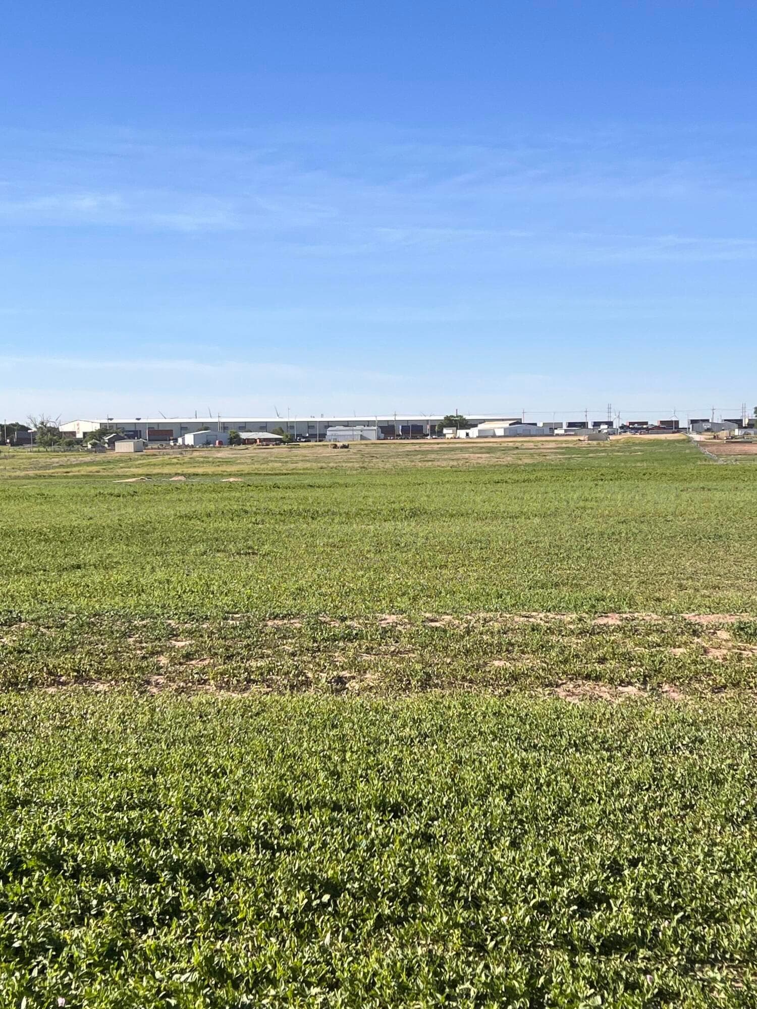 CO RD 7B, 7C, and 7D, Hereford, TX 79045, photo 12