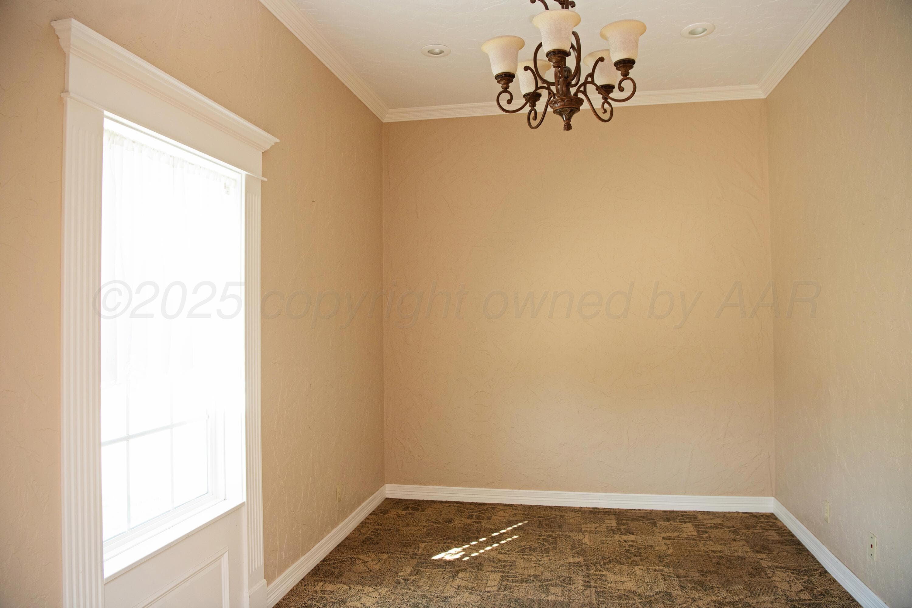 411 E 6th Street, Hereford, TX 79045, photo 35