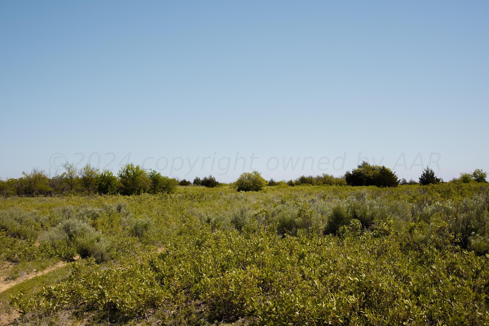 Pavolosky Place, Shamrock, TX 79079