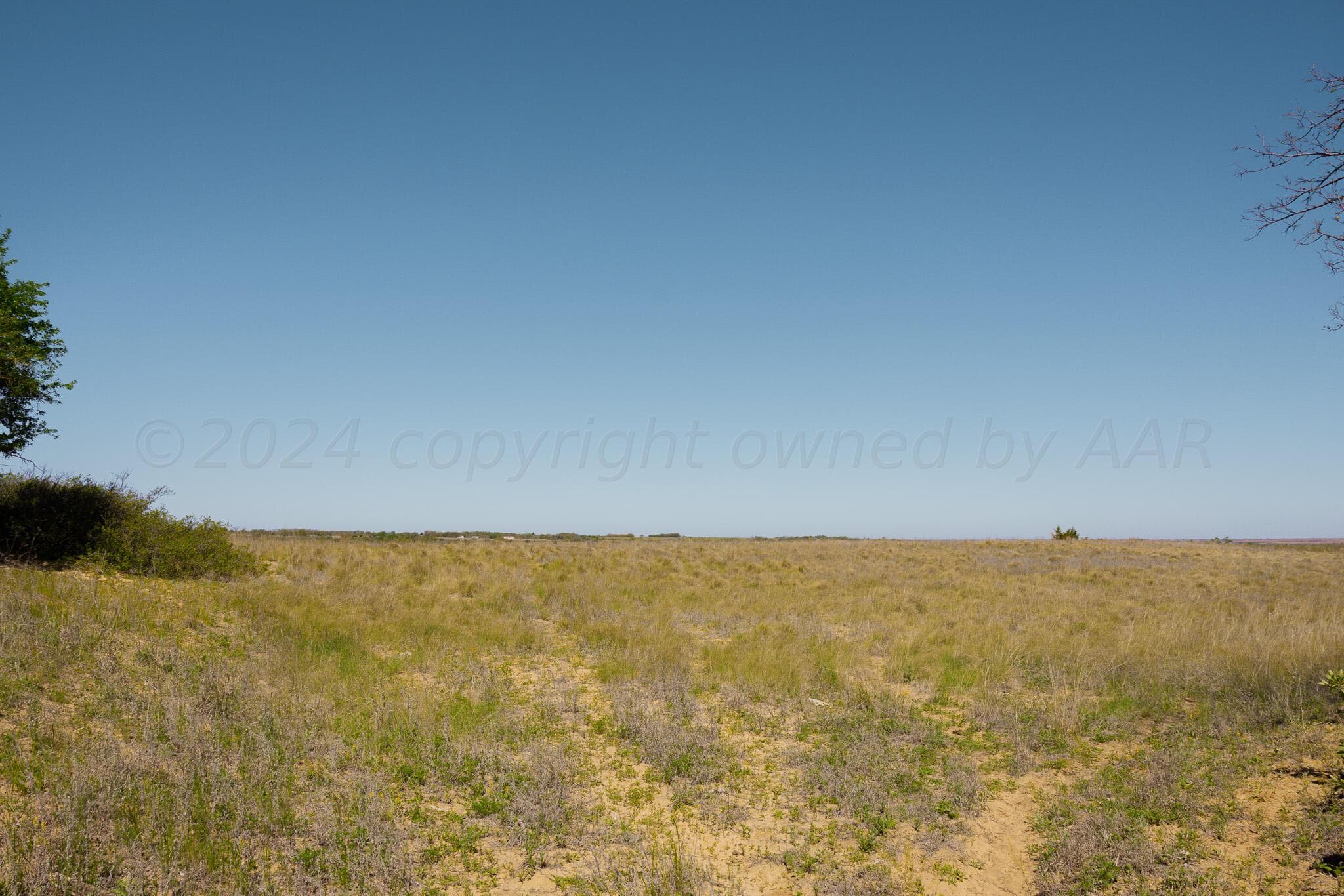 Pavolosky Place, Shamrock, TX 79079, photo 3