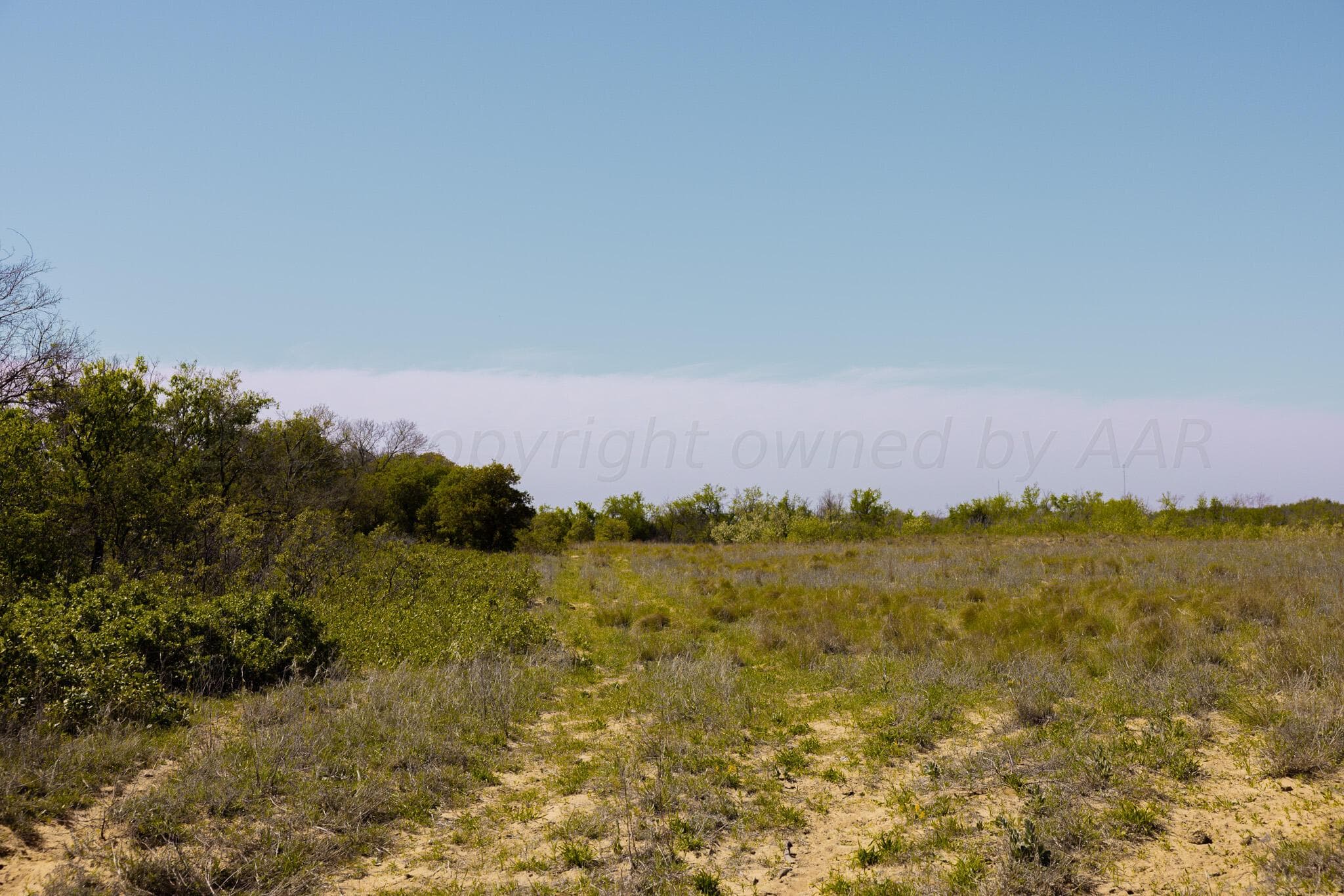 Pavolosky Place, Shamrock, TX 79079, photo 4