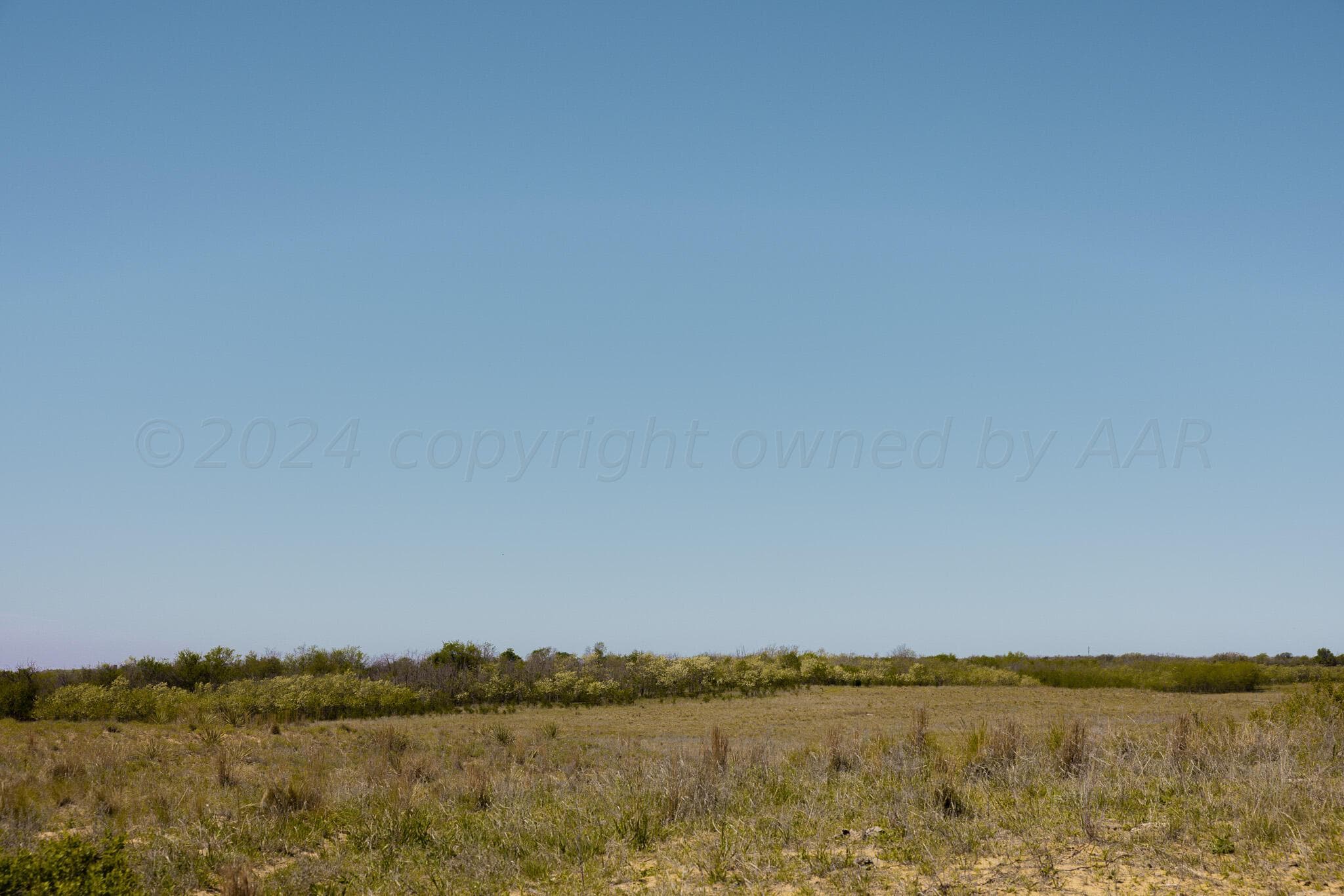 Pavolosky Place, Shamrock, TX 79079, photo 5