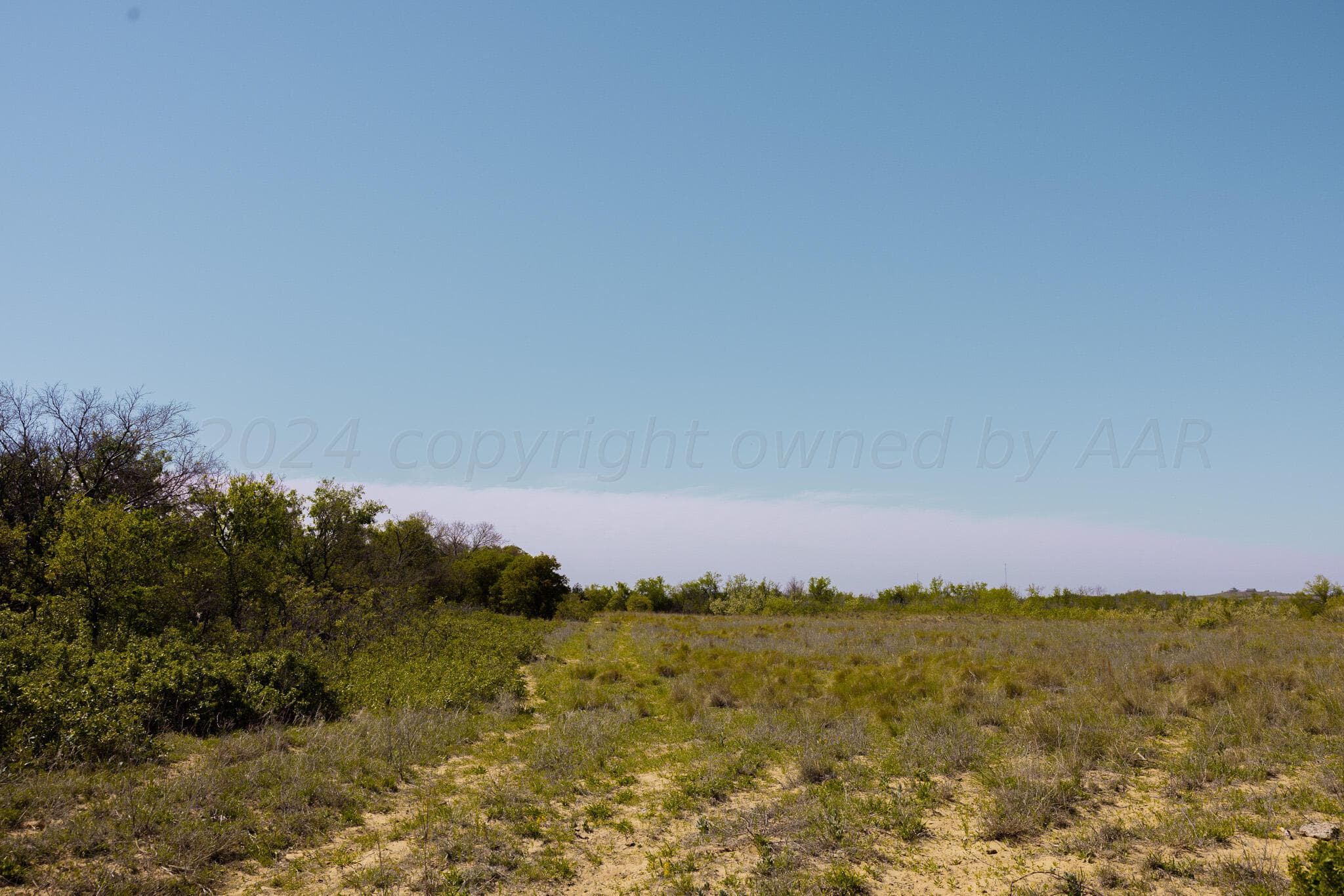 Pavolosky Place, Shamrock, TX 79079, photo 7