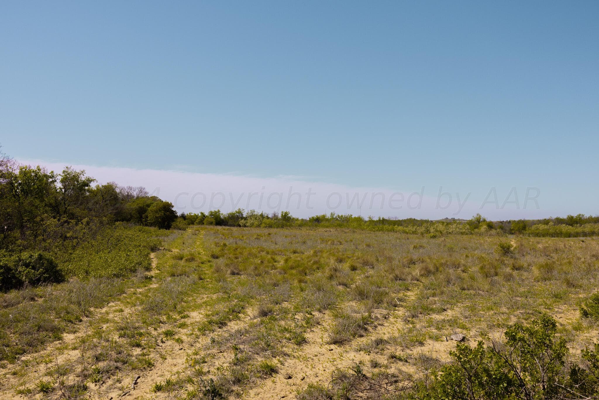 Pavolosky Place, Shamrock, TX 79079, photo 8