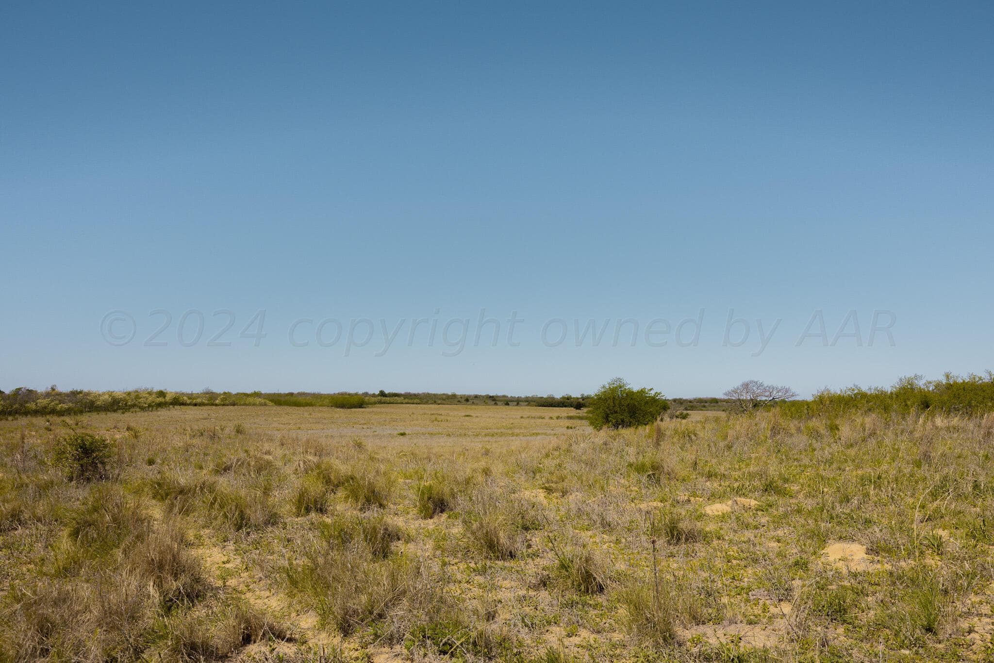 Pavolosky Place, Shamrock, TX 79079, photo 9