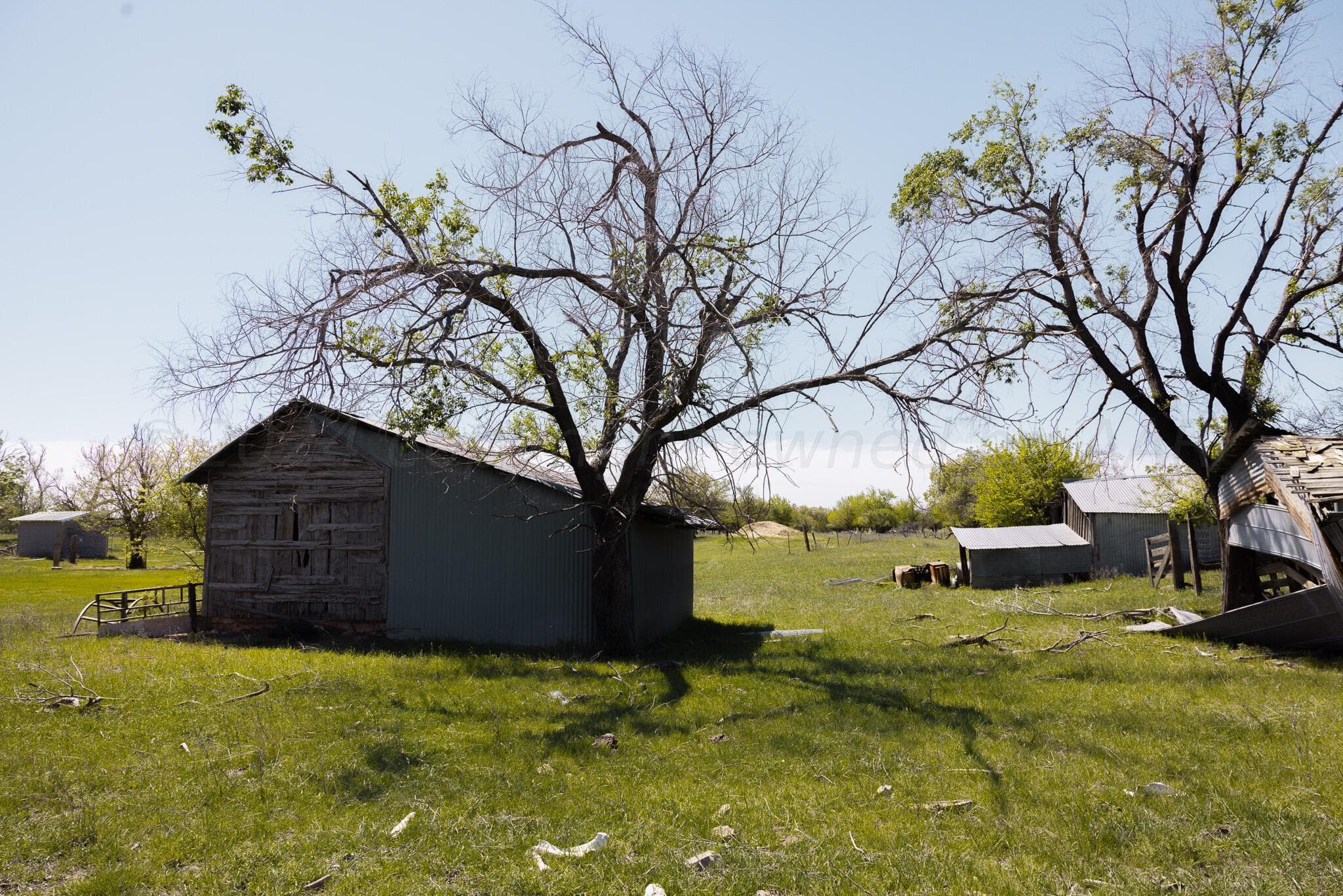 Pavolosky Place, Shamrock, TX 79079, photo 12