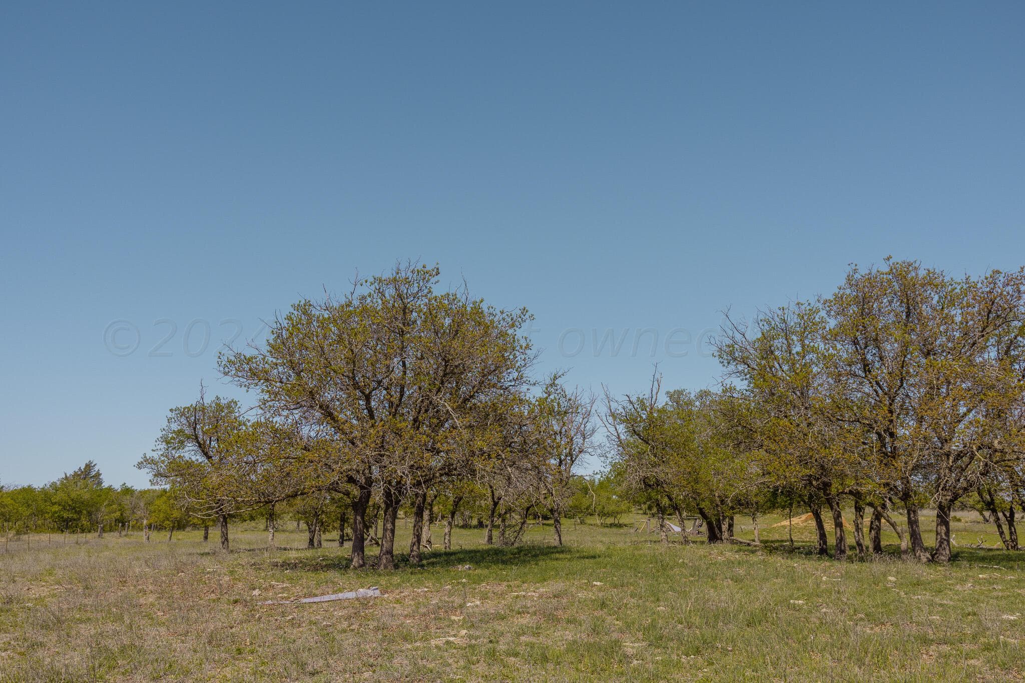 Pavolosky Place, Shamrock, TX 79079, photo 20