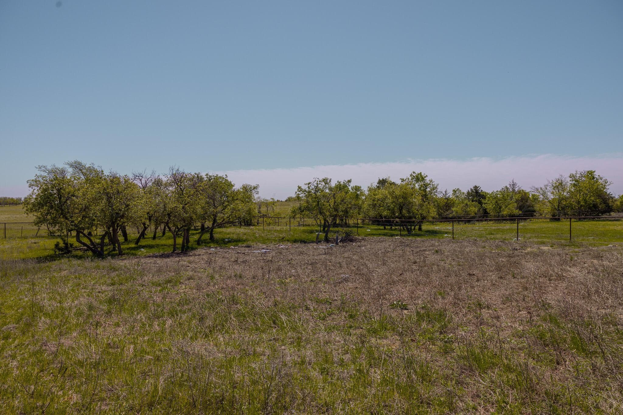 Pavolosky Place, Shamrock, TX 79079, photo 21