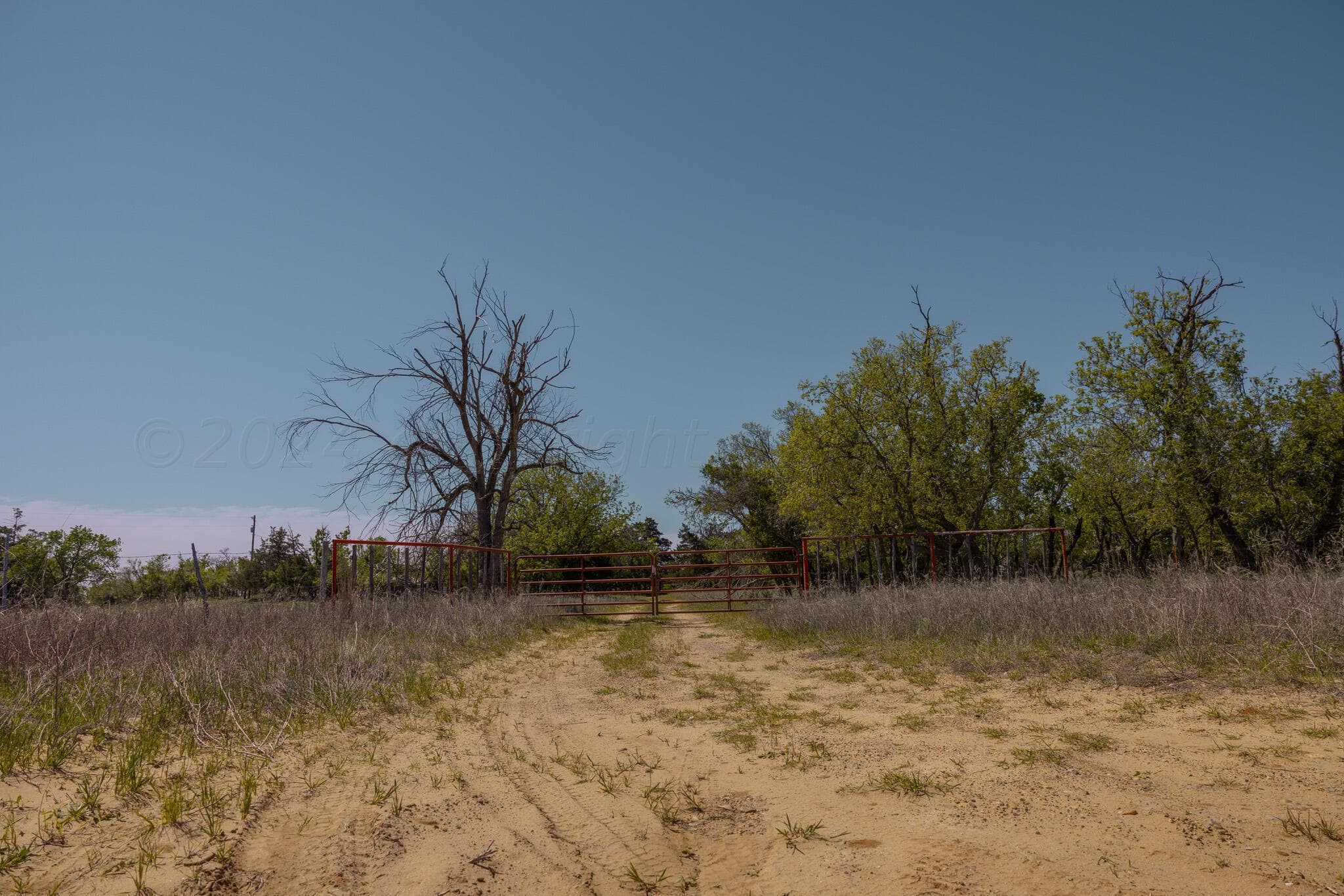 Pavolosky Place, Shamrock, TX 79079, photo 23