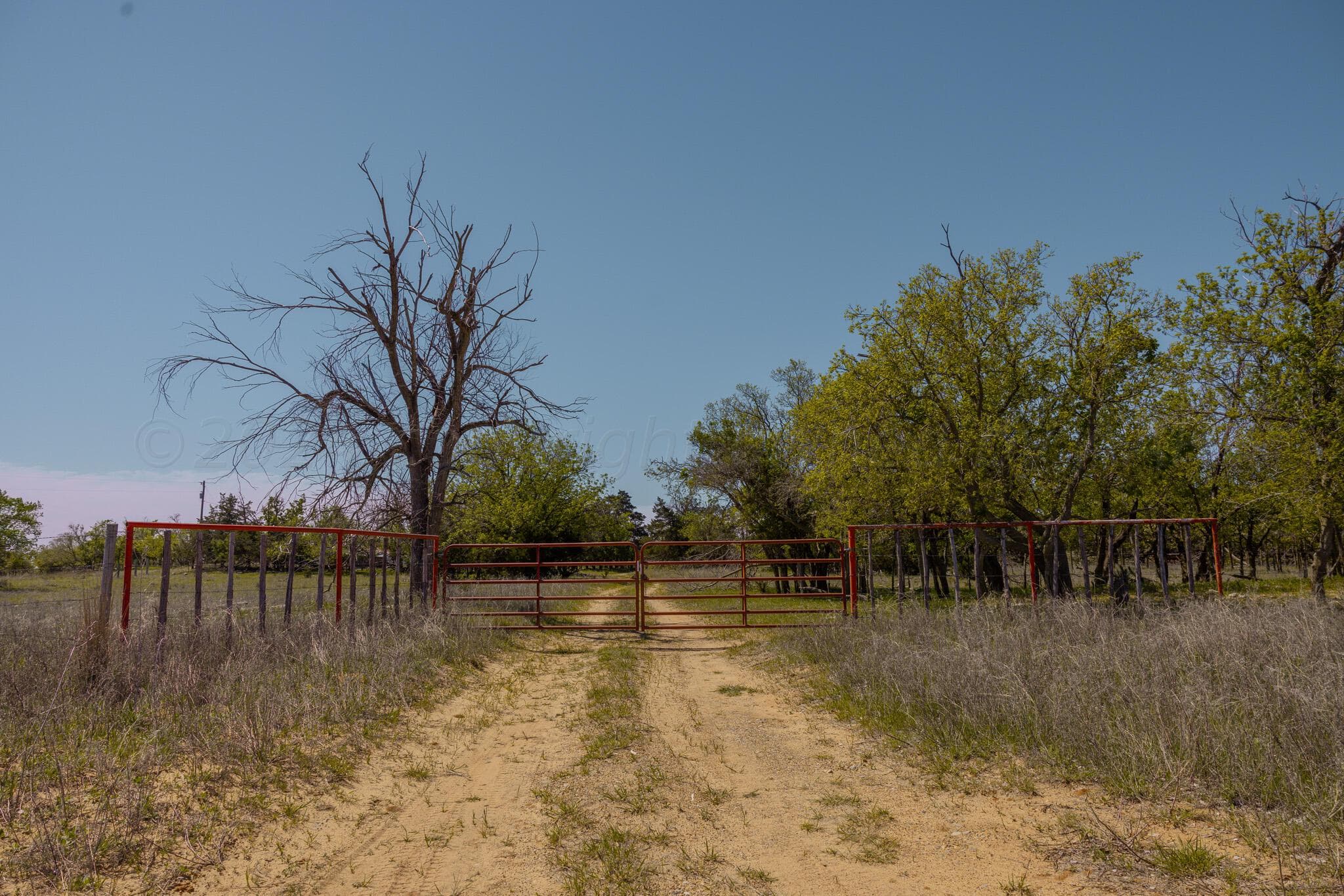 Pavolosky Place, Shamrock, TX 79079, photo 24