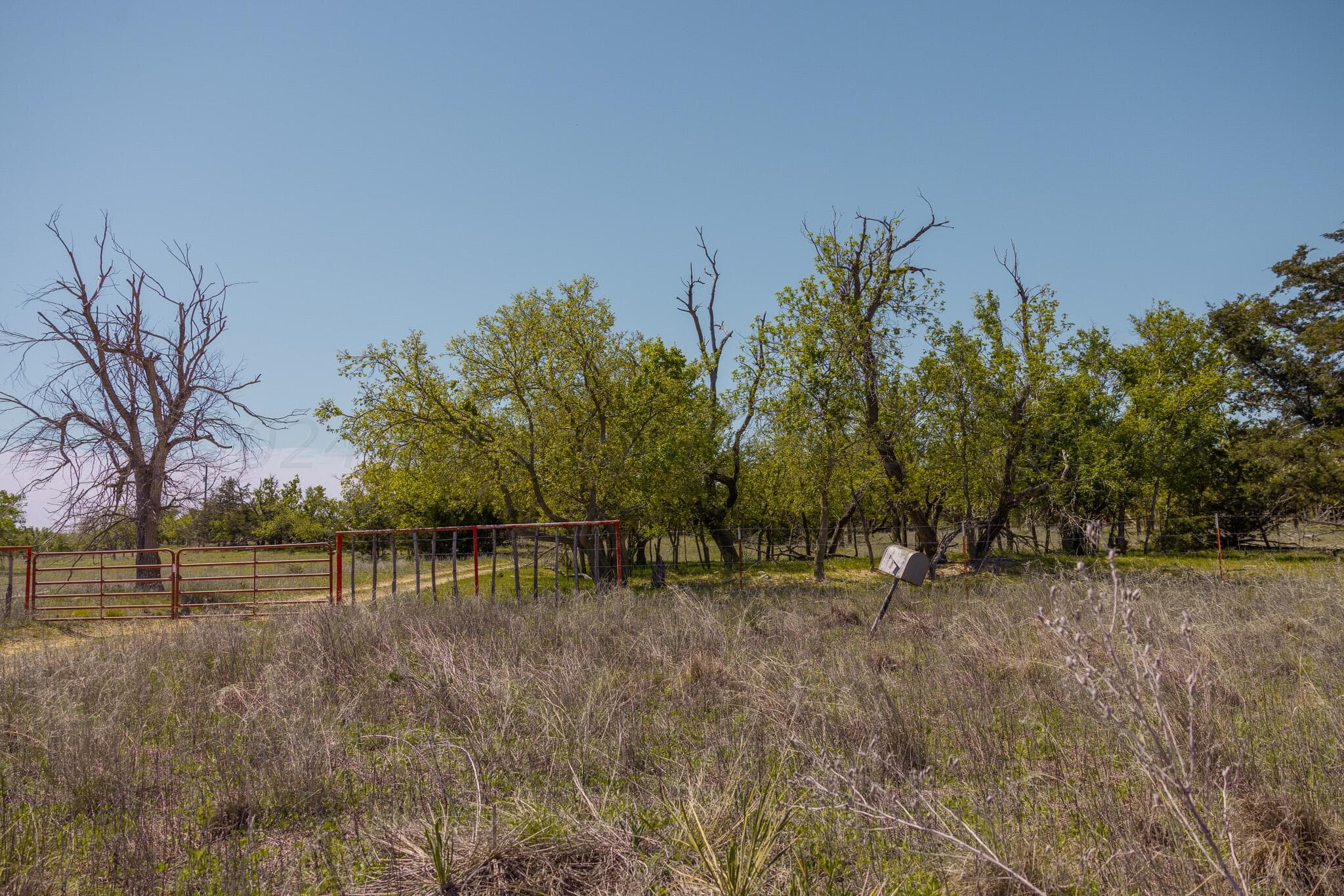 Pavolosky Place, Shamrock, TX 79079, photo 25
