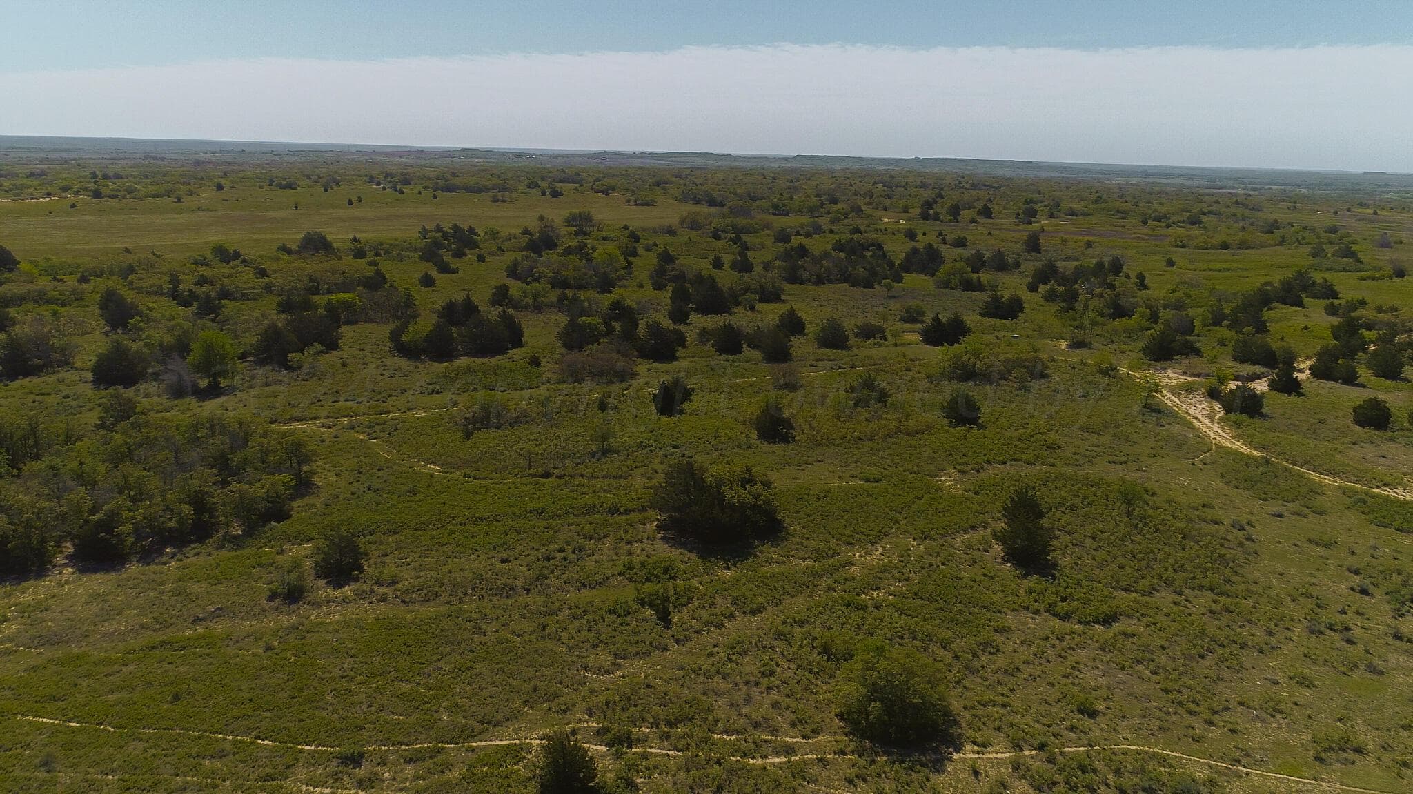 Pavolosky Place, Shamrock, TX 79079, photo 33