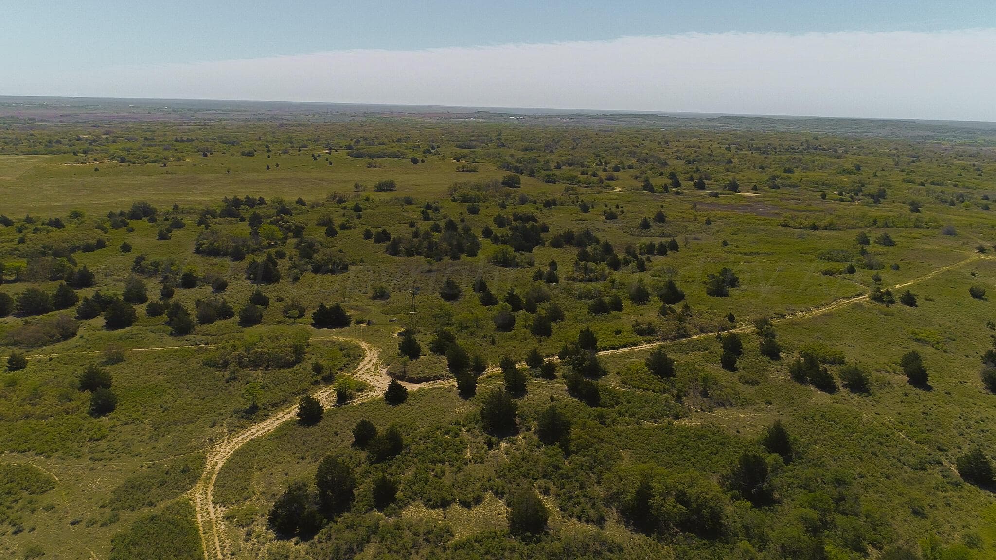 Pavolosky Place, Shamrock, TX 79079, photo 35