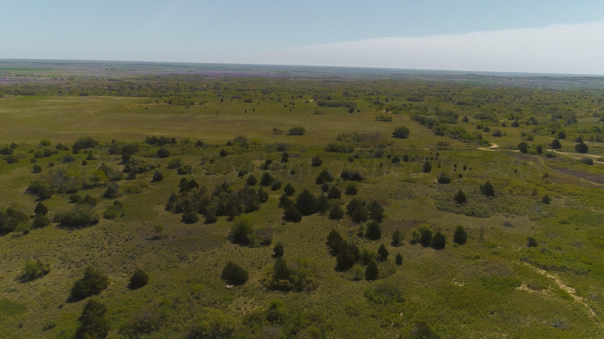 Pavolosky Place, Shamrock, TX 79079, photo 39