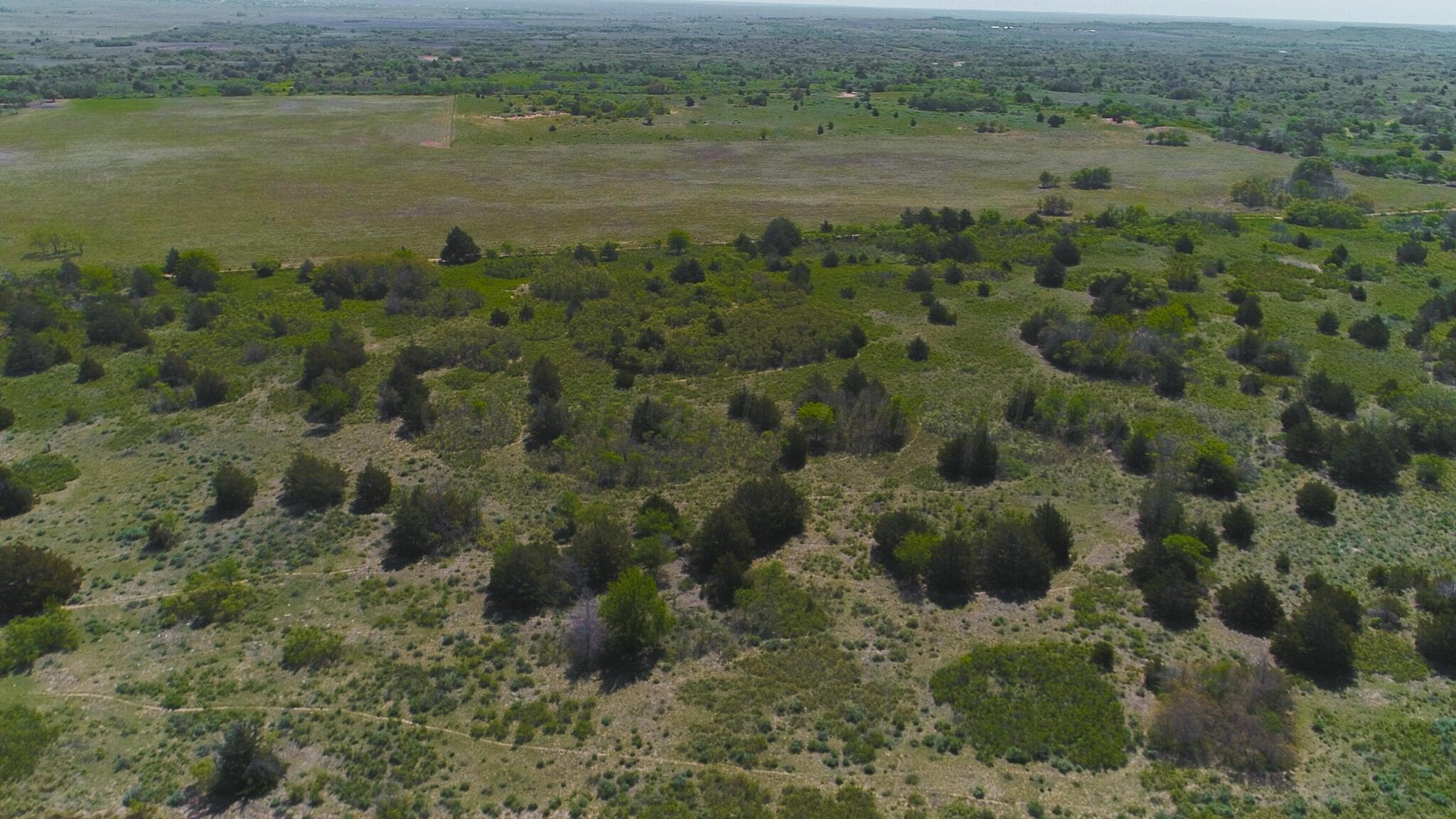 Pavolosky Place, Shamrock, TX 79079, photo 46