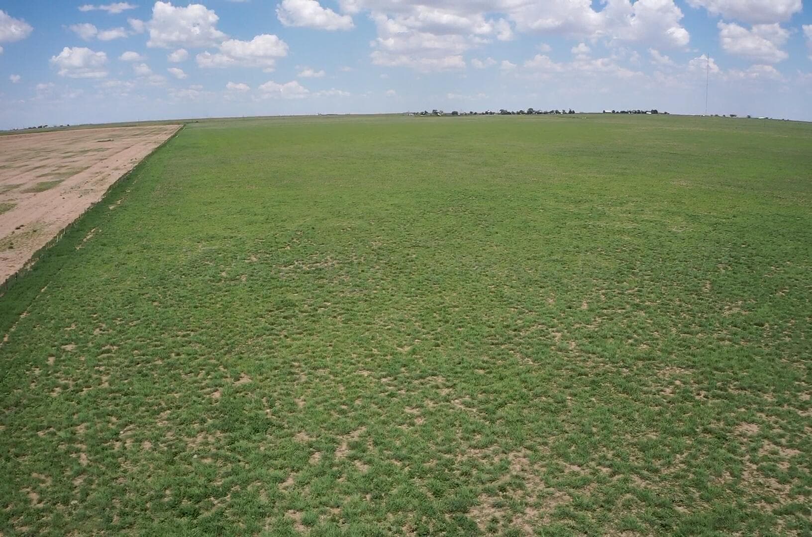 West 50 Acres HWY 60, Dawn, TX 79045, photo 5