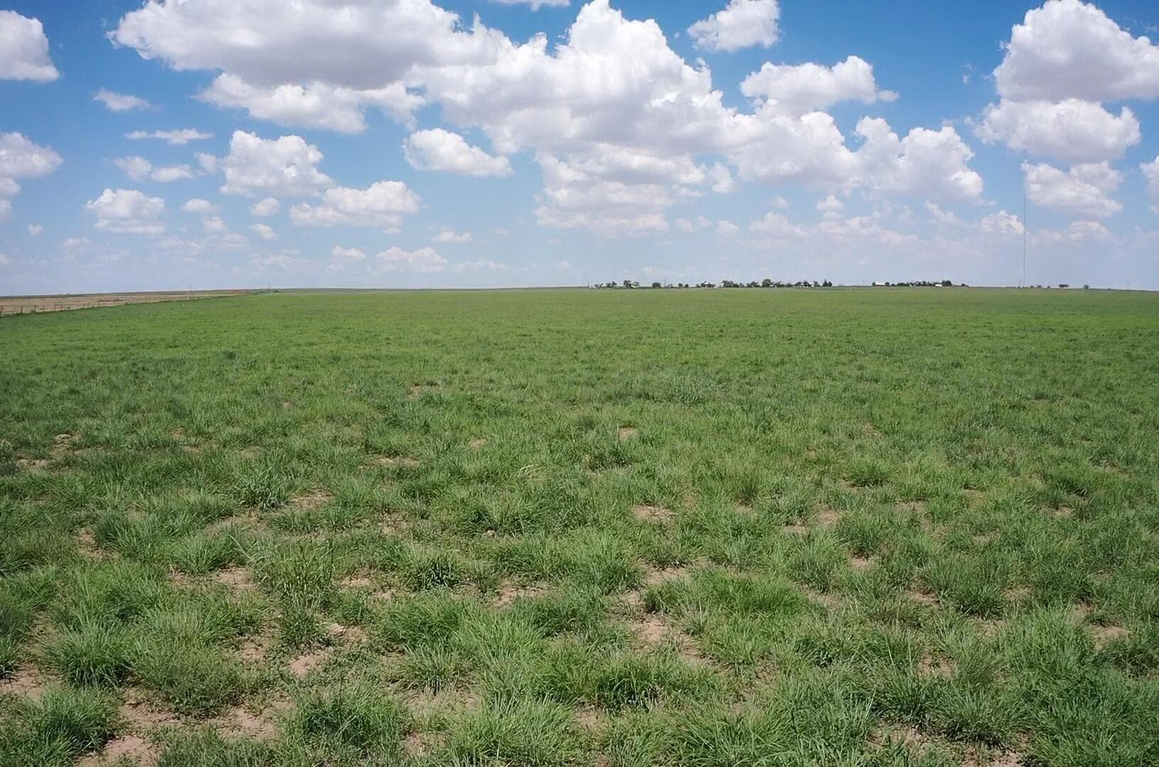 West 50 Acres HWY 60, Dawn, TX 79045, photo 6