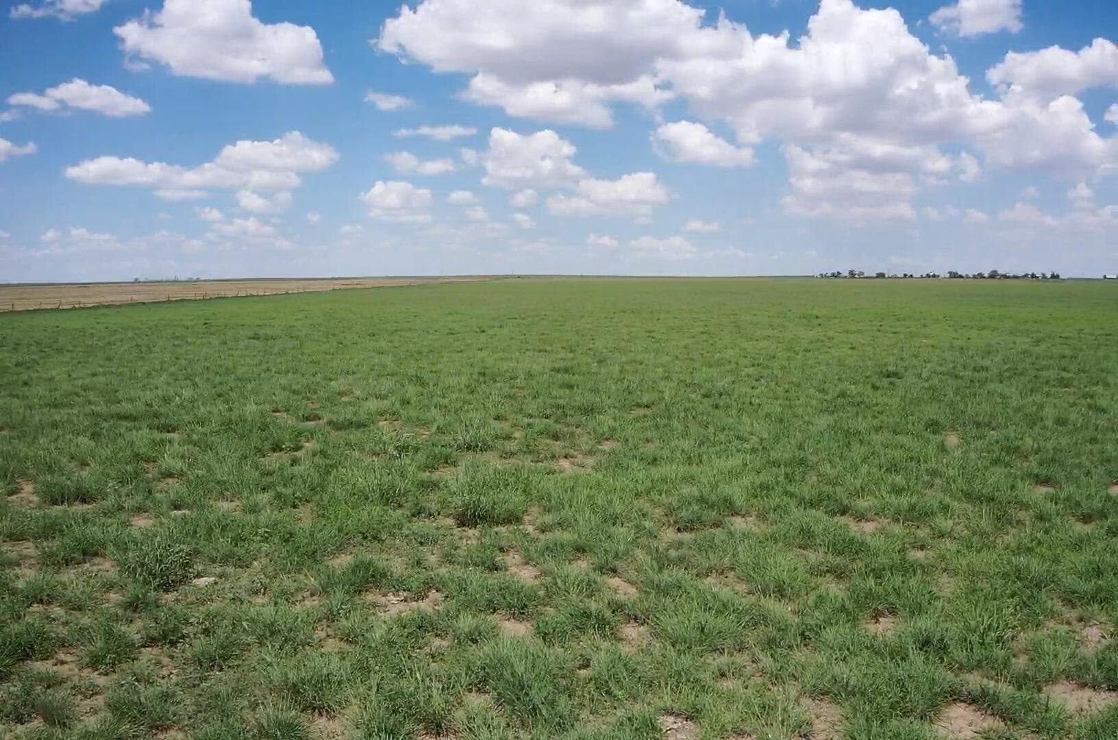 West 50 Acres HWY 60, Dawn, TX 79045, photo 7