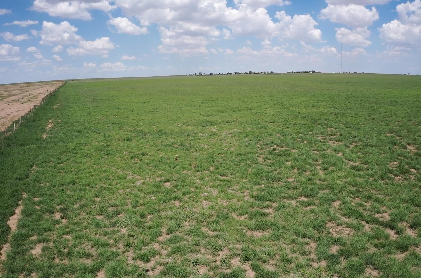 West 50 Acres HWY 60, Dawn, TX 79045, photo 8