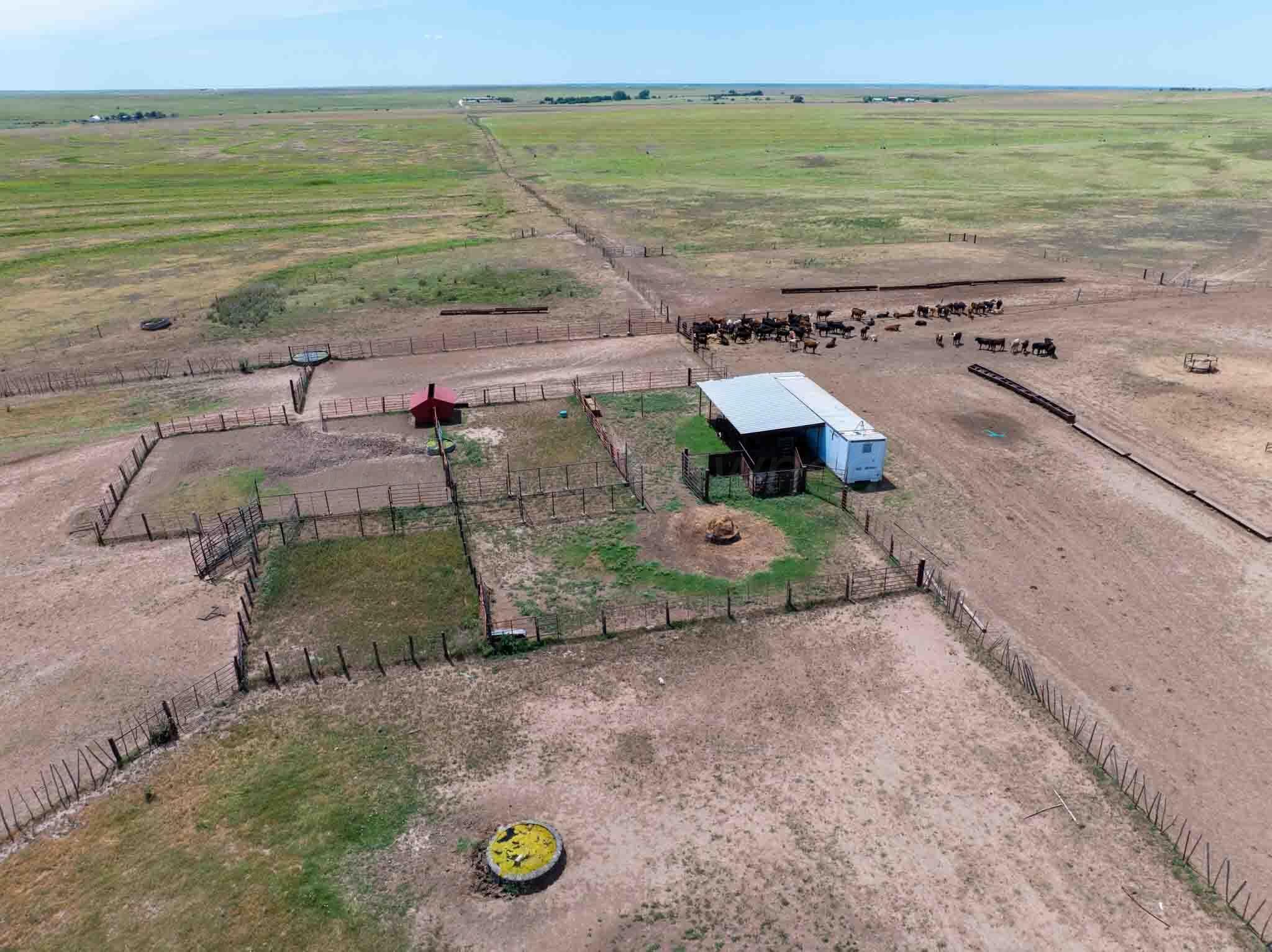 Bourquin Cattle 495 Ac, Follett, TX 79034, photo 14