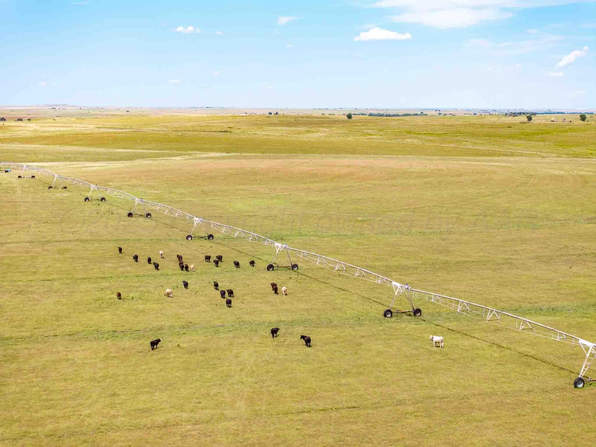 Bourquin Cattle 495 Ac, Follett, TX 79034, photo 18