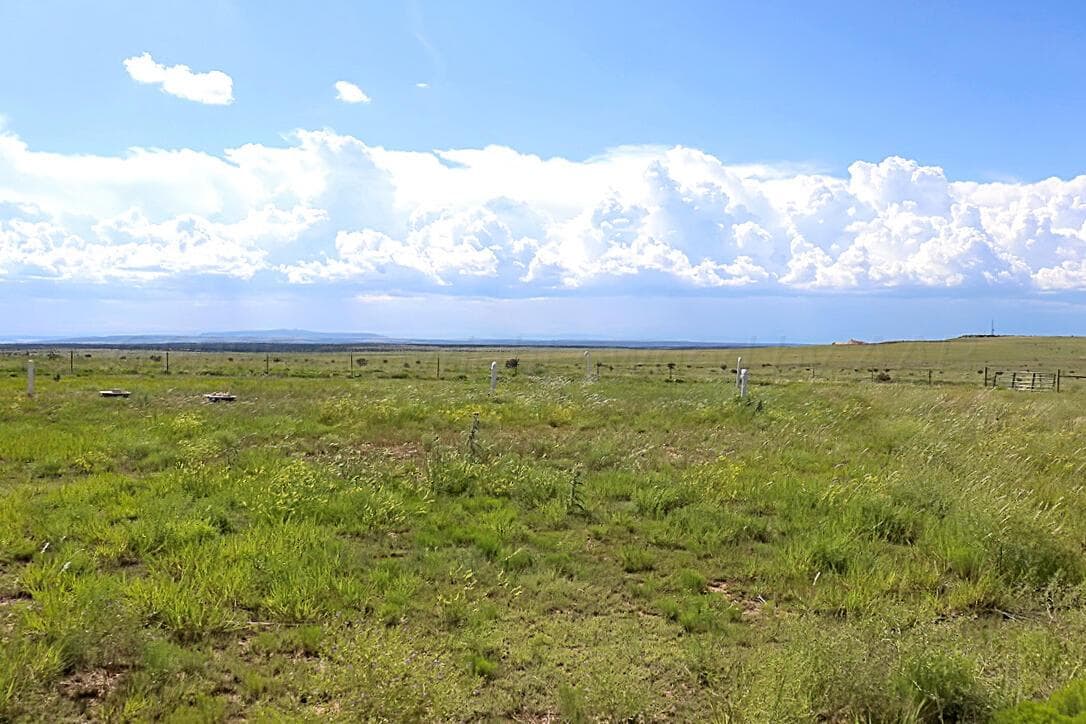 735 Wagon Mound Hwy 120, NM 87743, photo 9