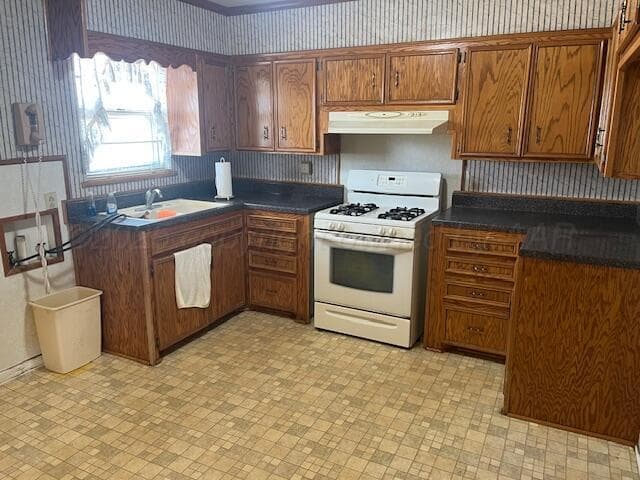 3811 Lakeview Road, Hereford, TX 79045, photo 4