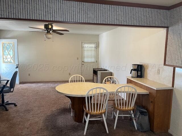 3811 Lakeview Road, Hereford, TX 79045, photo 5