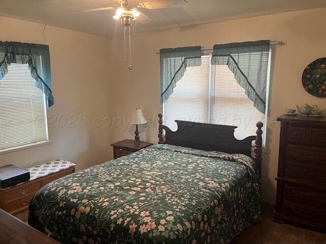 3811 Lakeview Road, Hereford, TX 79045, photo 8