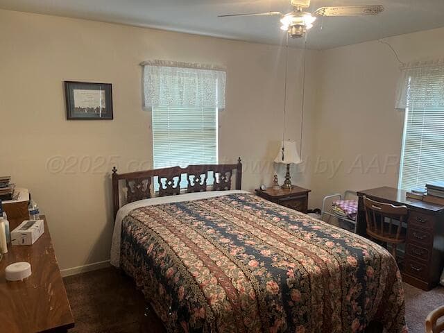 3811 Lakeview Road, Hereford, TX 79045, photo 9